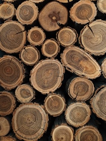 brown wooden logs in close up photography
