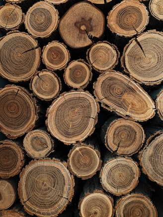 brown wooden logs in close up photography