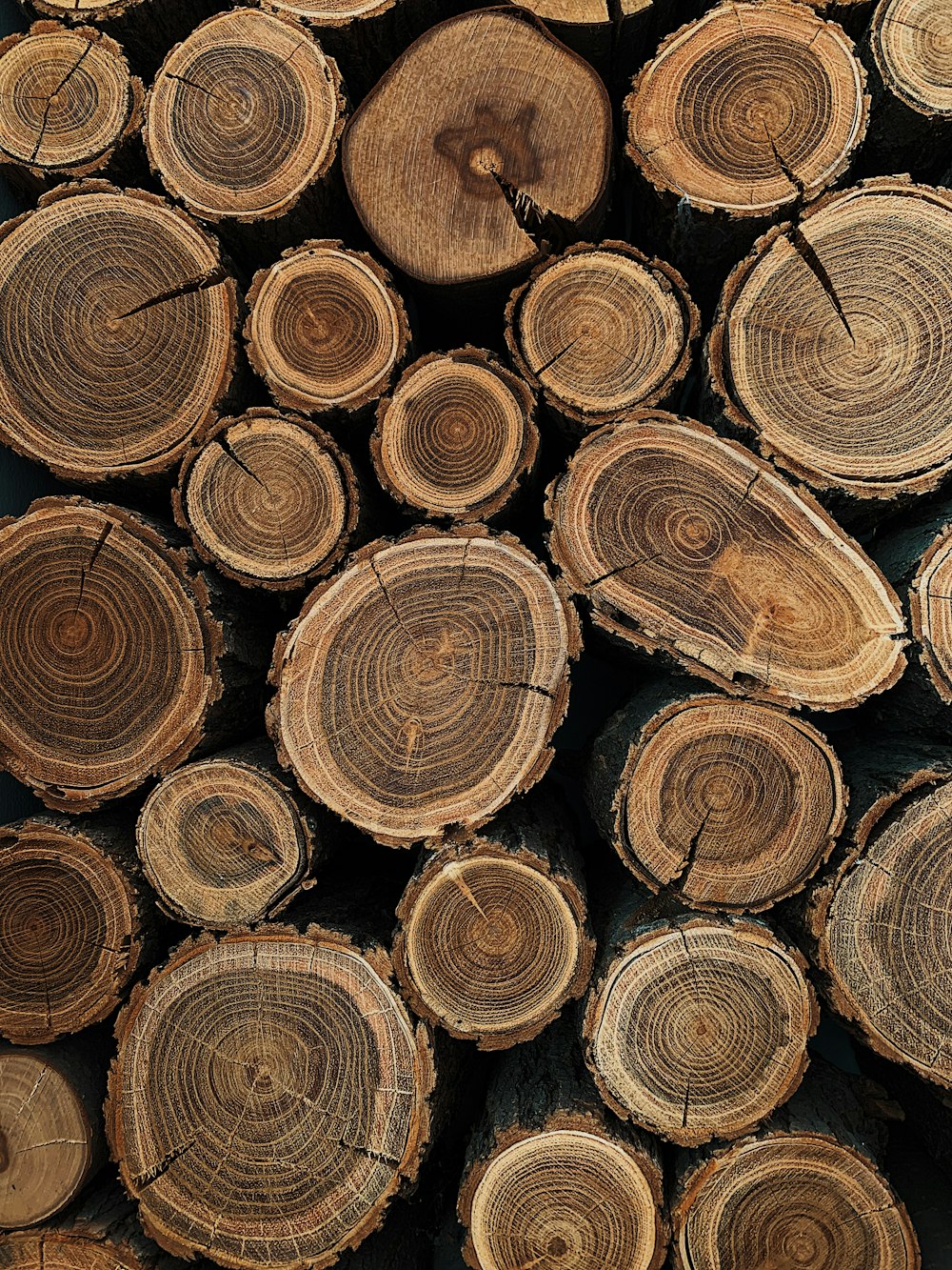 Troncos de madera marrón en fotografía de primer plano