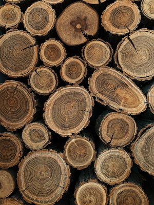 Wood