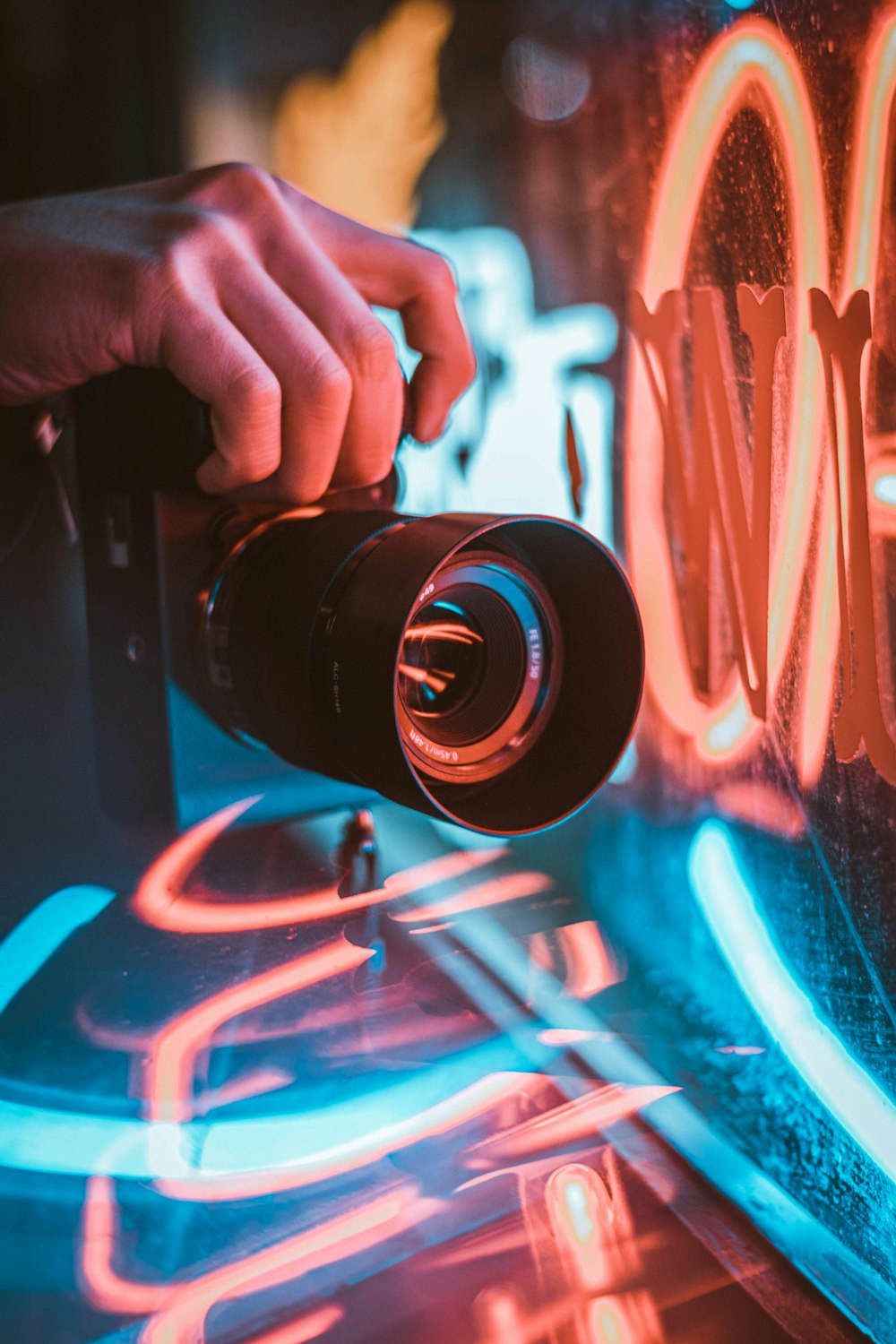 person holding black dslr camera