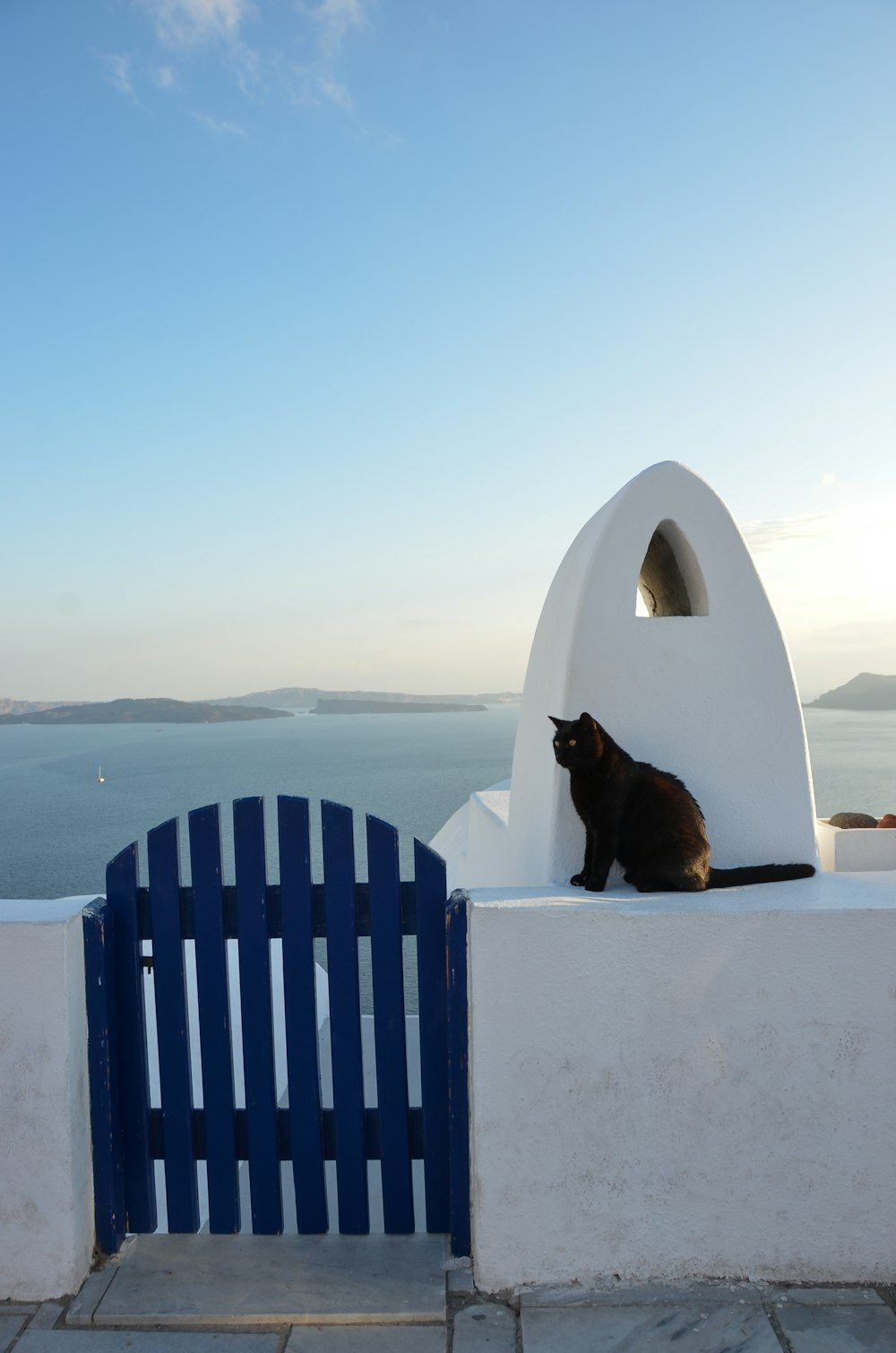 black cat on white concrete fence during daytime