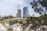 A construction site featuring two high-rise buildings in the process of being built, with large cranes visible above the structures. In the foreground, there is a rough stone wall with prickly pear cacti growing on it, and some trees and shrubs surrounding the site.