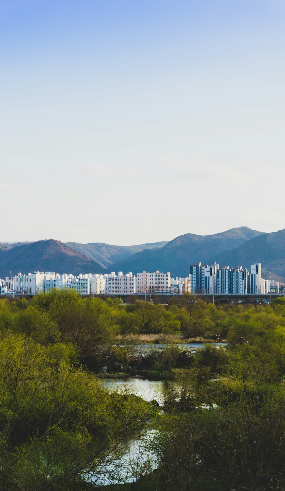 city skyline under white sky during daytime