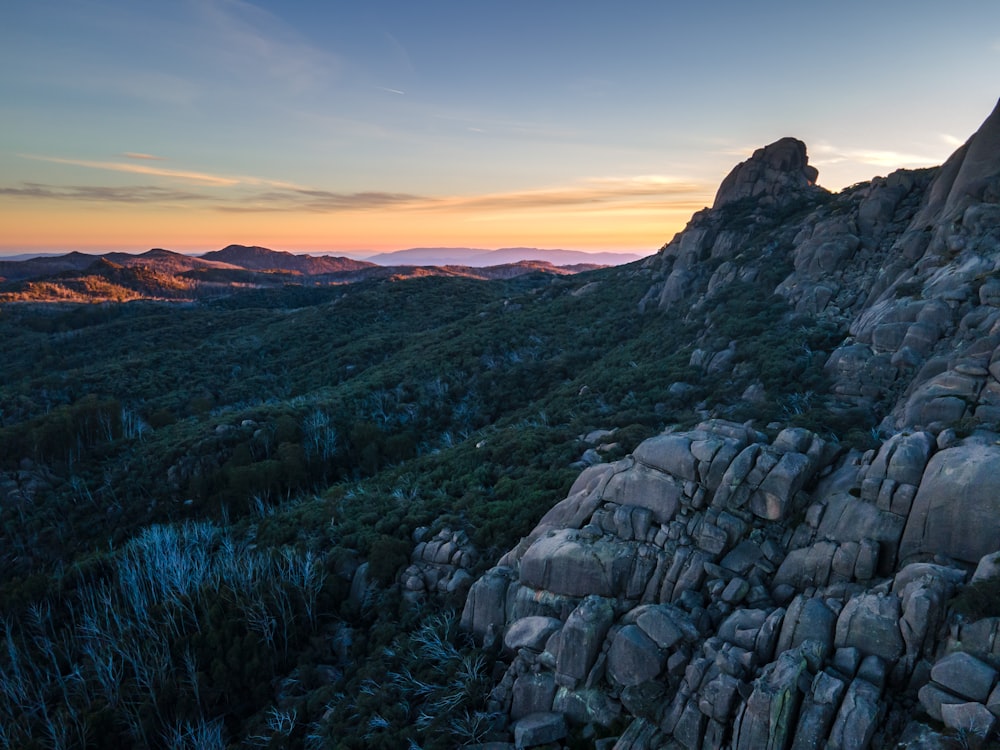 green trees on rocky mountain during sunset