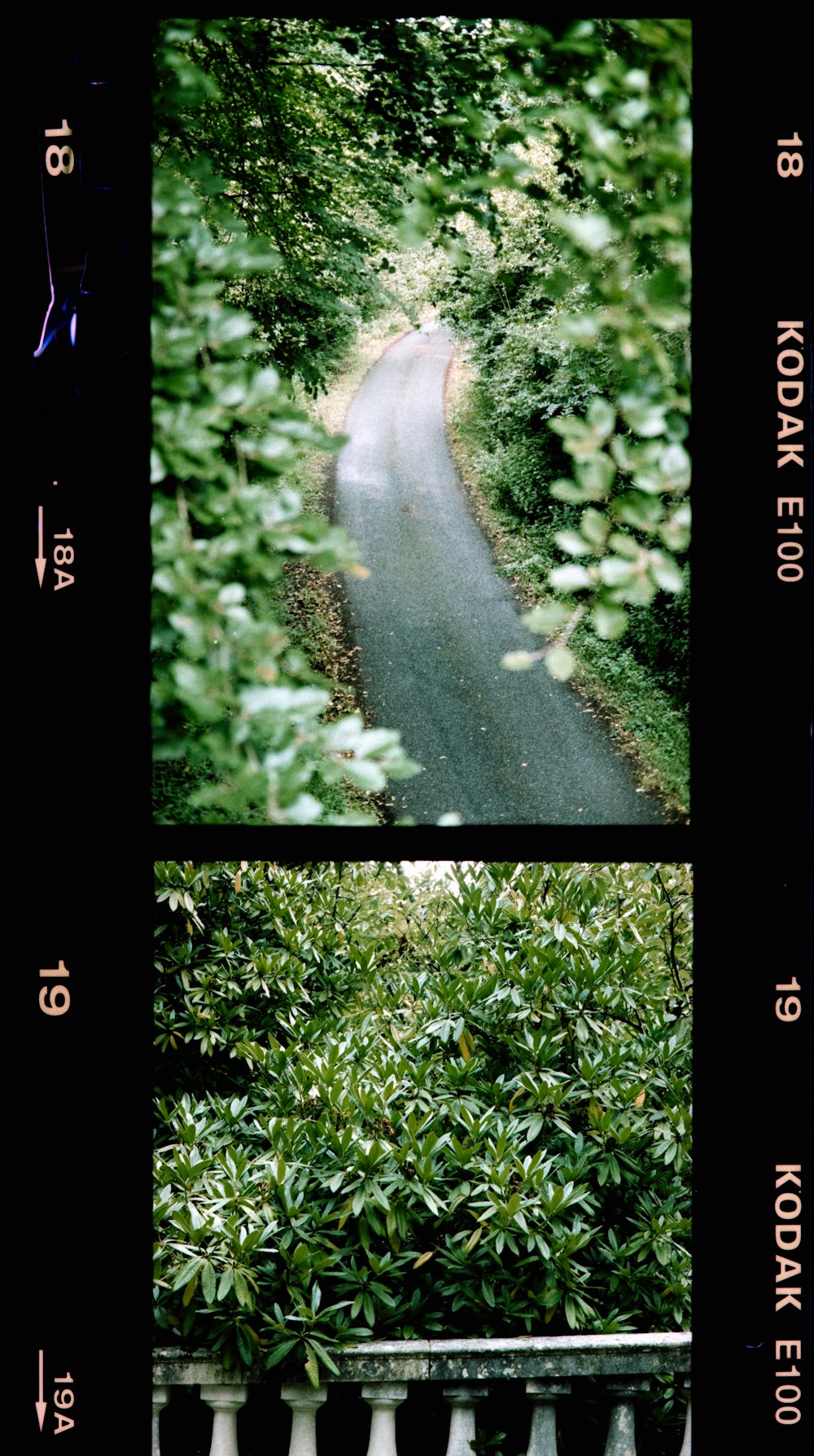 green grass beside gray concrete road