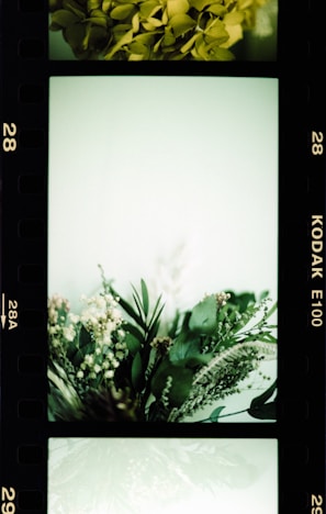 A vibrant frame from the 'Flavors of Home' video project.