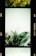 A film strip featuring greenery and floral arrangements. The central frame contains a bouquet of assorted green leaves and small white flowers, surrounded by an ethereal, light-green backdrop.