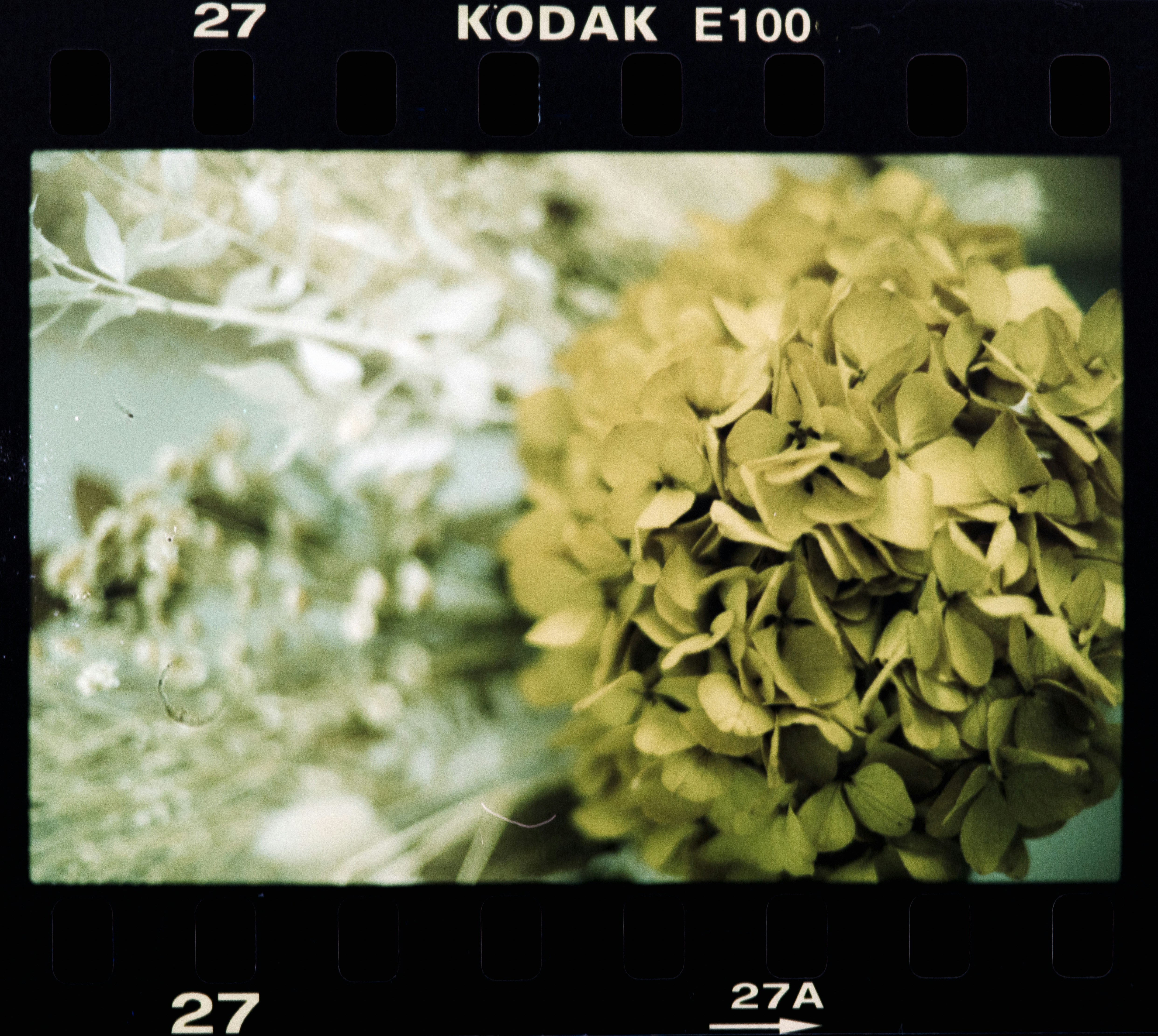 photo-1617618481979-30c0492145ac?ixid=M3wxMjA3fDB8MXxzZWFyY2h8MTV8fCVEMCU5OCVEMSU4MSVEMCVCQSVEMSU4MyVEMSU4MSVEMSU4MSVEMSU4MiVEMCVCMiVEMCVCNSVEMCVCRCVEMCVCRCVEMSU4QiVEMCVCNSUyMCVEMCVBNiVEMCVCMiVEMCVCNSVEMSU4MiVEMSU4QiUyMCVEMCU5MiUyMCVEMCU5OCVEMCVCRCVEMSU4MiVEMCVCNSVEMSU4MCVEMSU4QyVEMCVCNSVEMSU4MCVEMCVCNSUzQSUyMDE5NSUyQiUyMCUyOCVEMCVBNCVEMCVCRSVEMSU4MiVEMCVCRSUyOSUyMCVEMCU5MSVEMSU4MyVEMCVCQSVEMCVCNSVEMSU4MiVEMCVCRSVEMCVCMnxlbnwwfHx8fDE3NTIyMTgwOTl8MA\u0026ixlib=rb-4.1.0