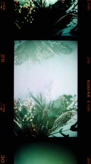 Artistic still life composition of flowers and old film reels with muted color palette