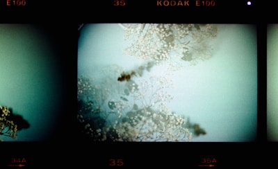 A poetic still from a film, framed with delicate care.