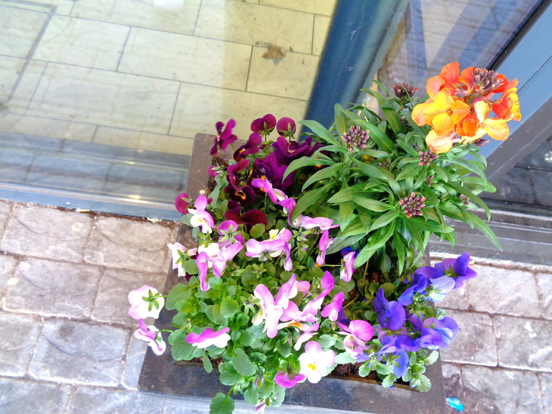 woman wearing yellow long-sleeved dress under white clouds and blue sky during daytime