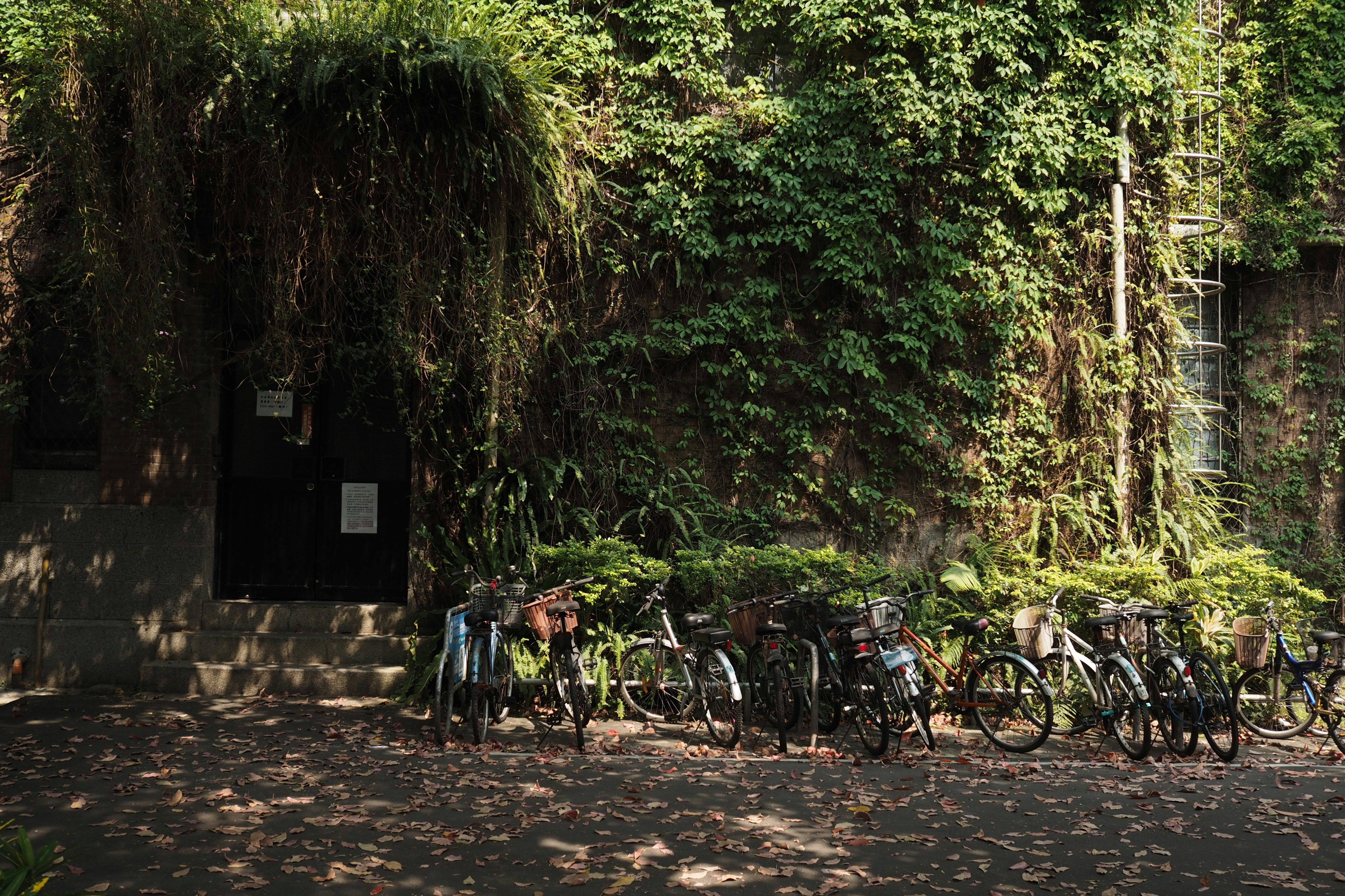 bicycles parked on the side of the road