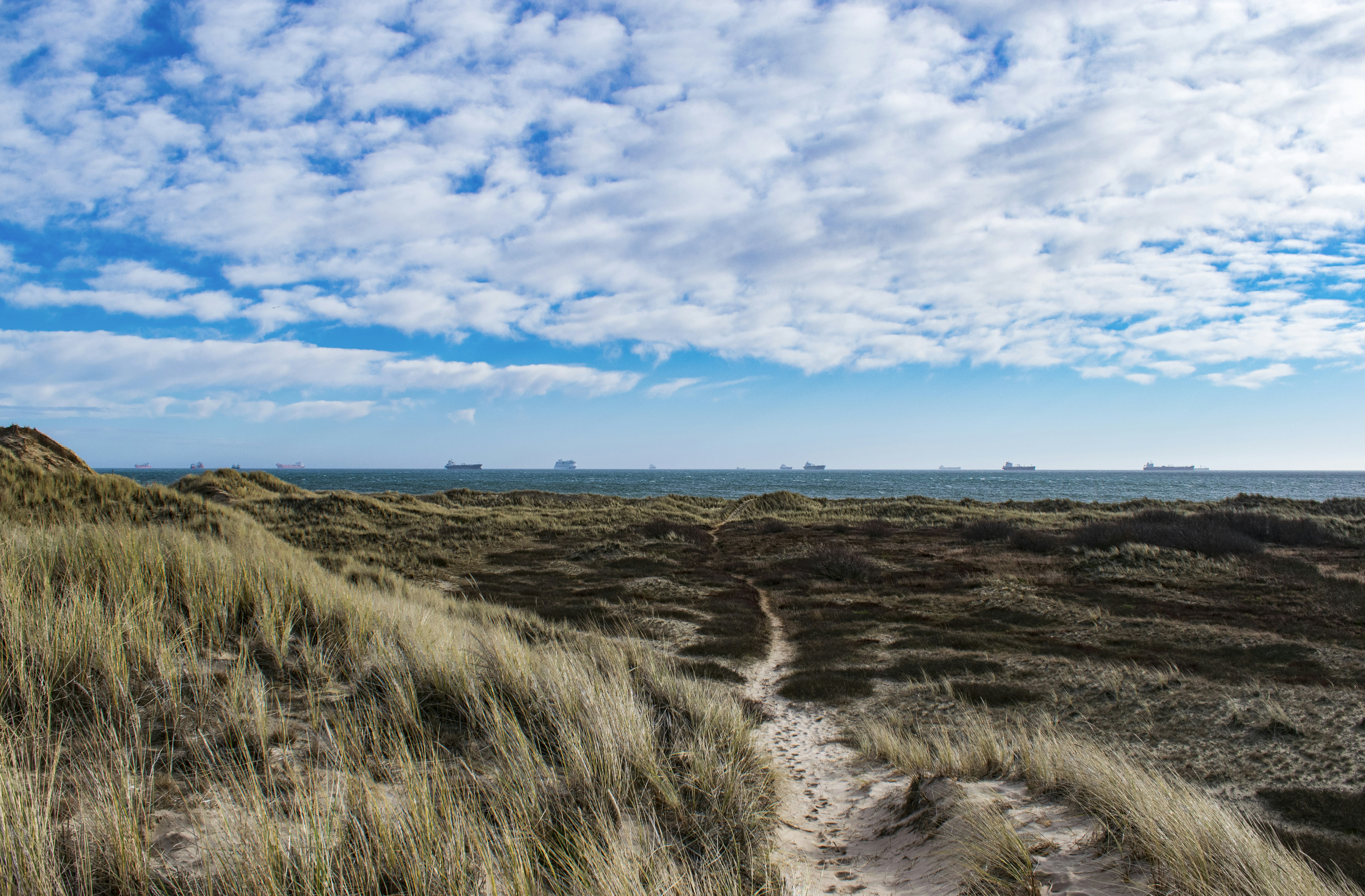 Photo by zuzi_ruttkay