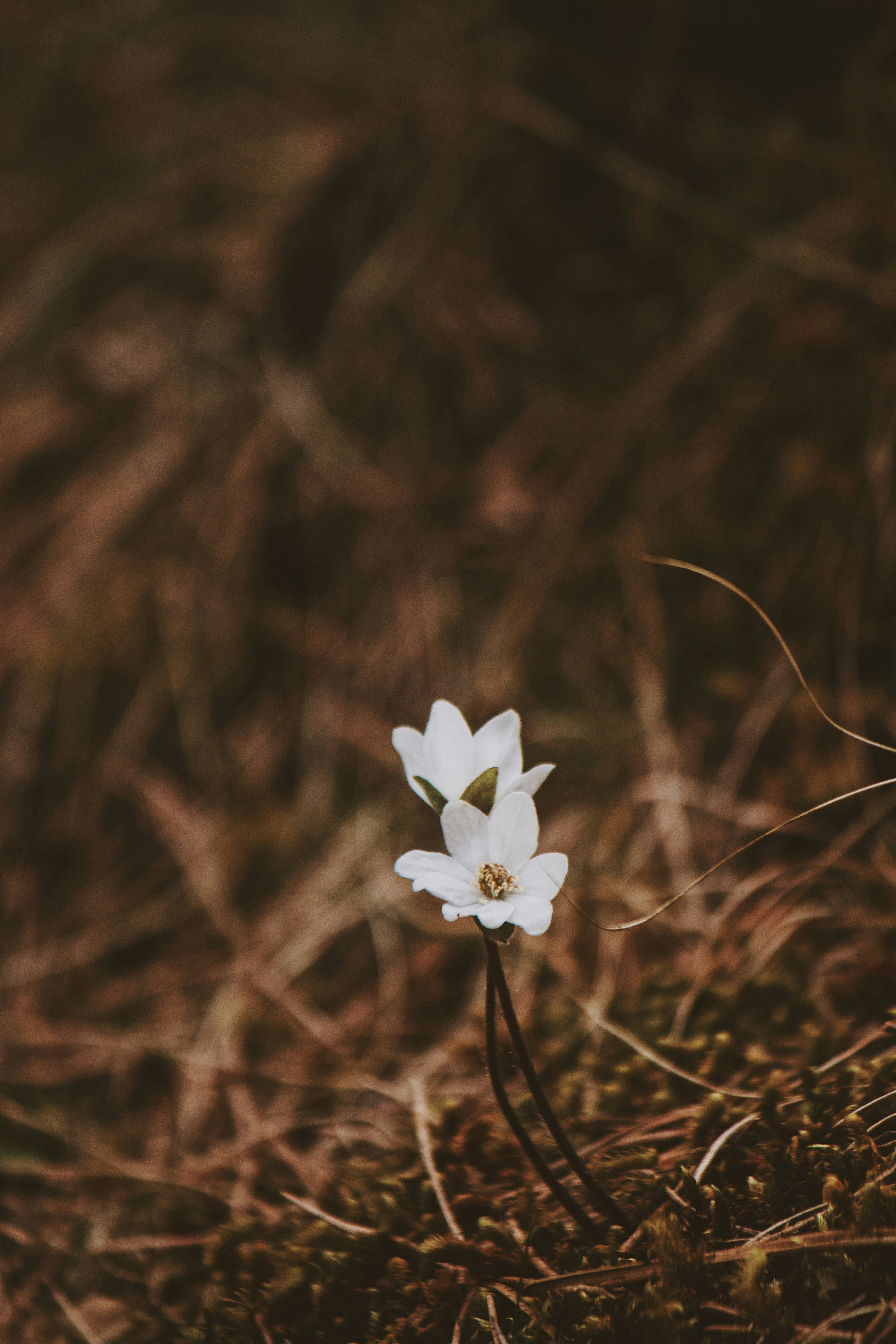 Photo by santii_yanez