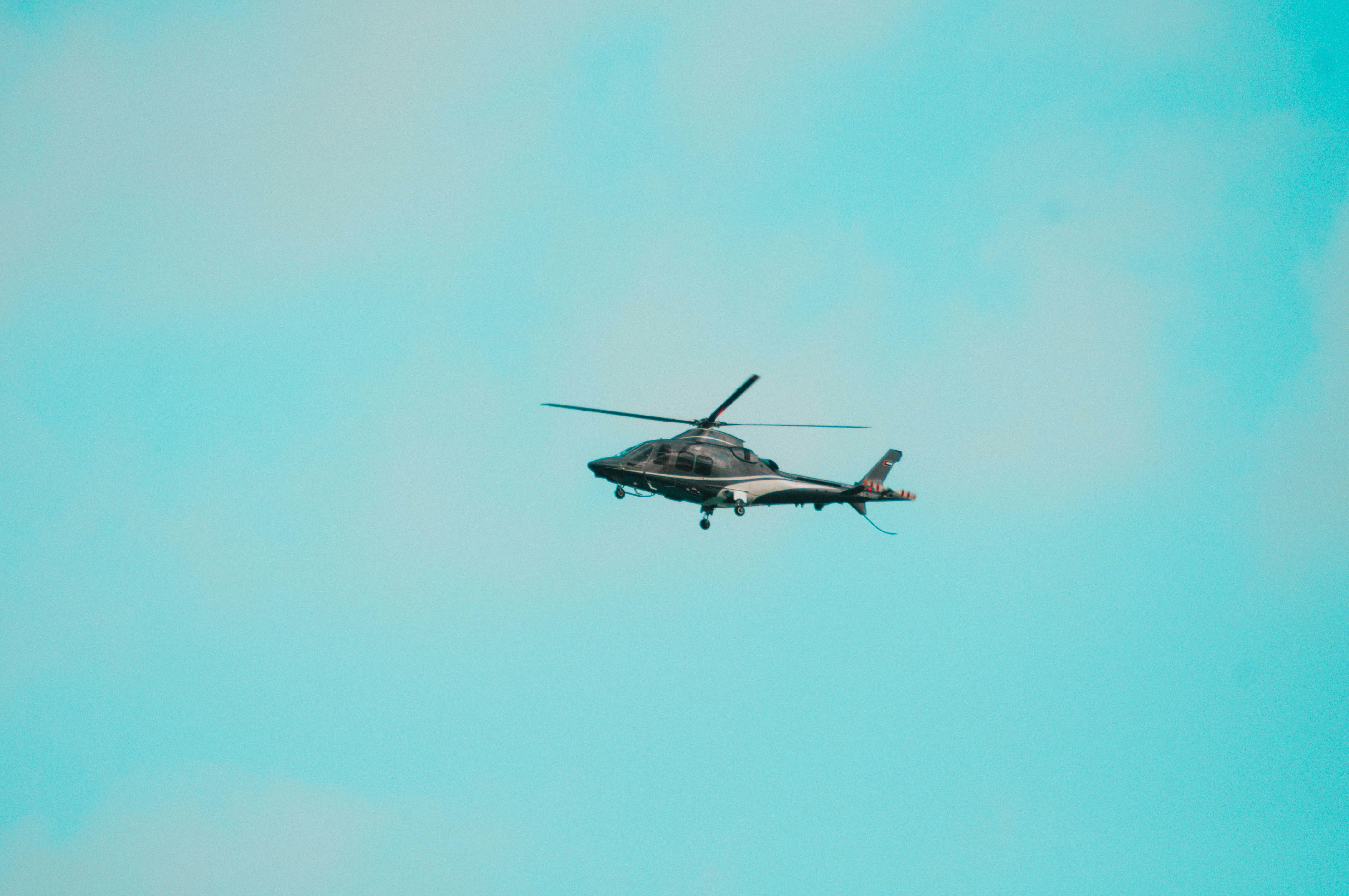 Photo by _reettalreja_