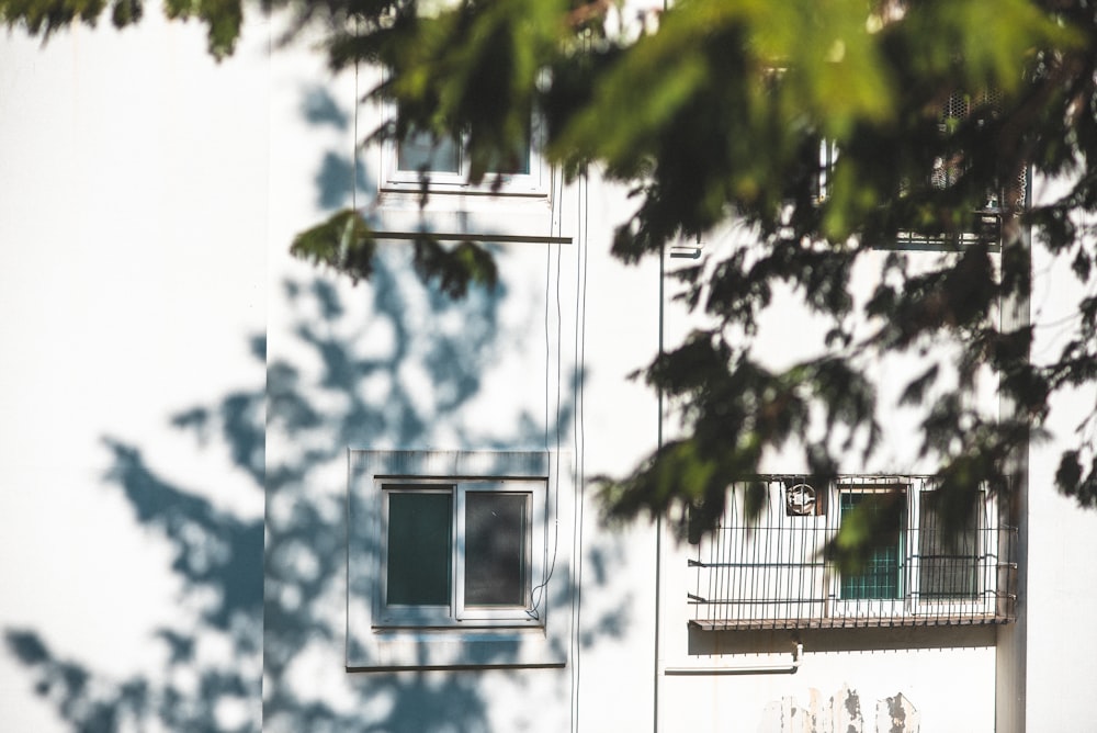 white and blue house with white window frame