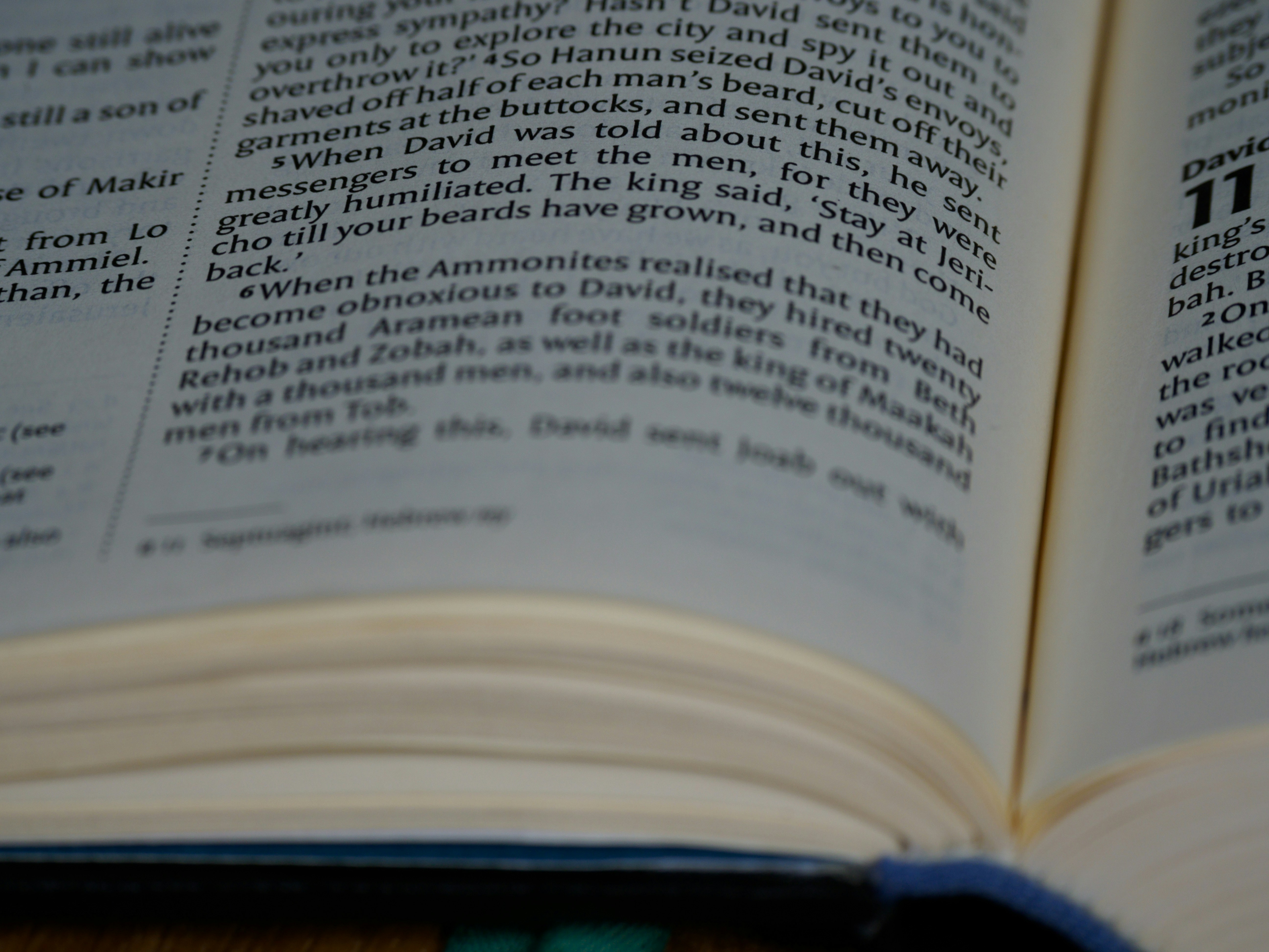 Photo by brett_jordan