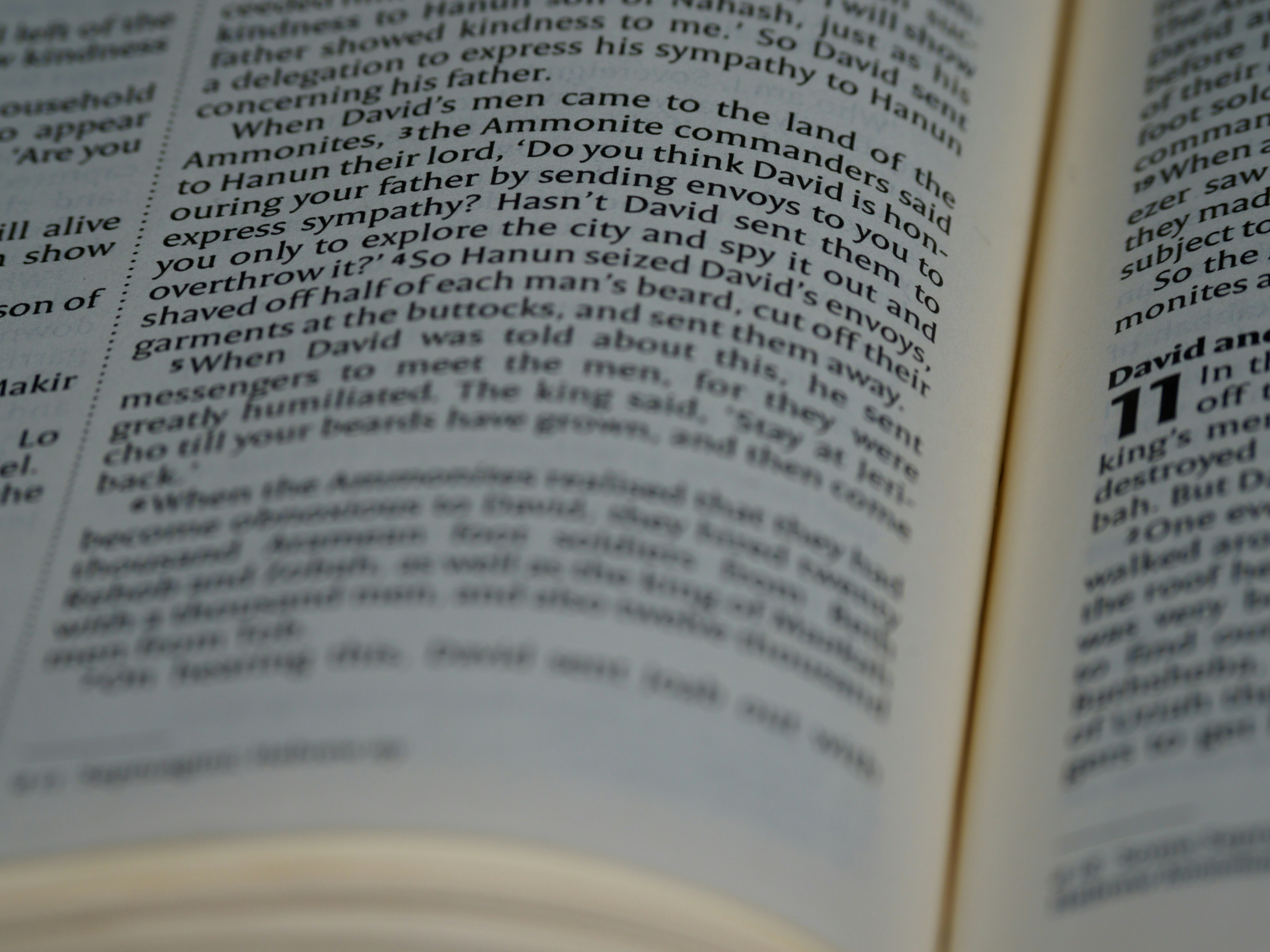 Photo by brett_jordan