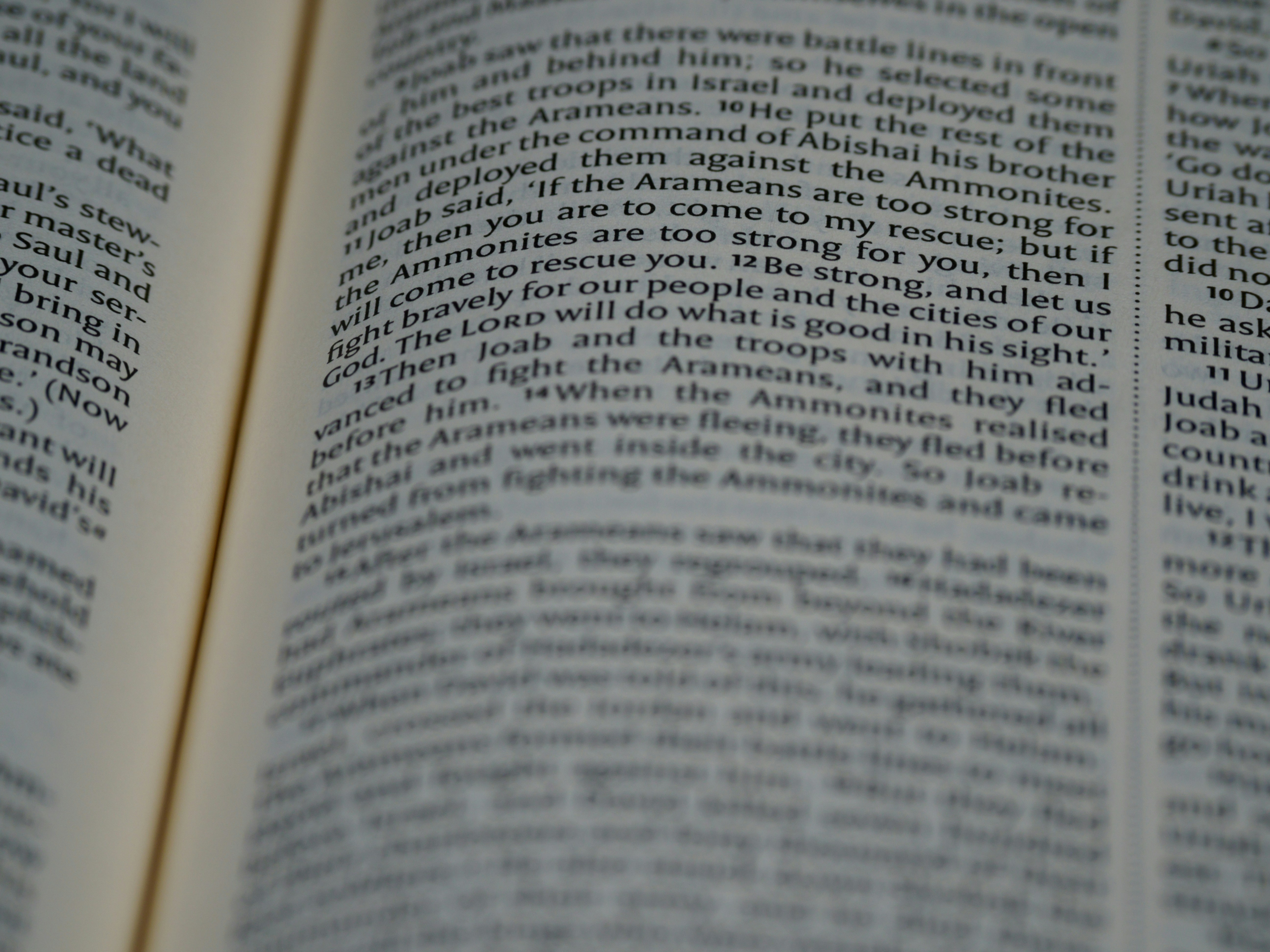 Photo by brett_jordan