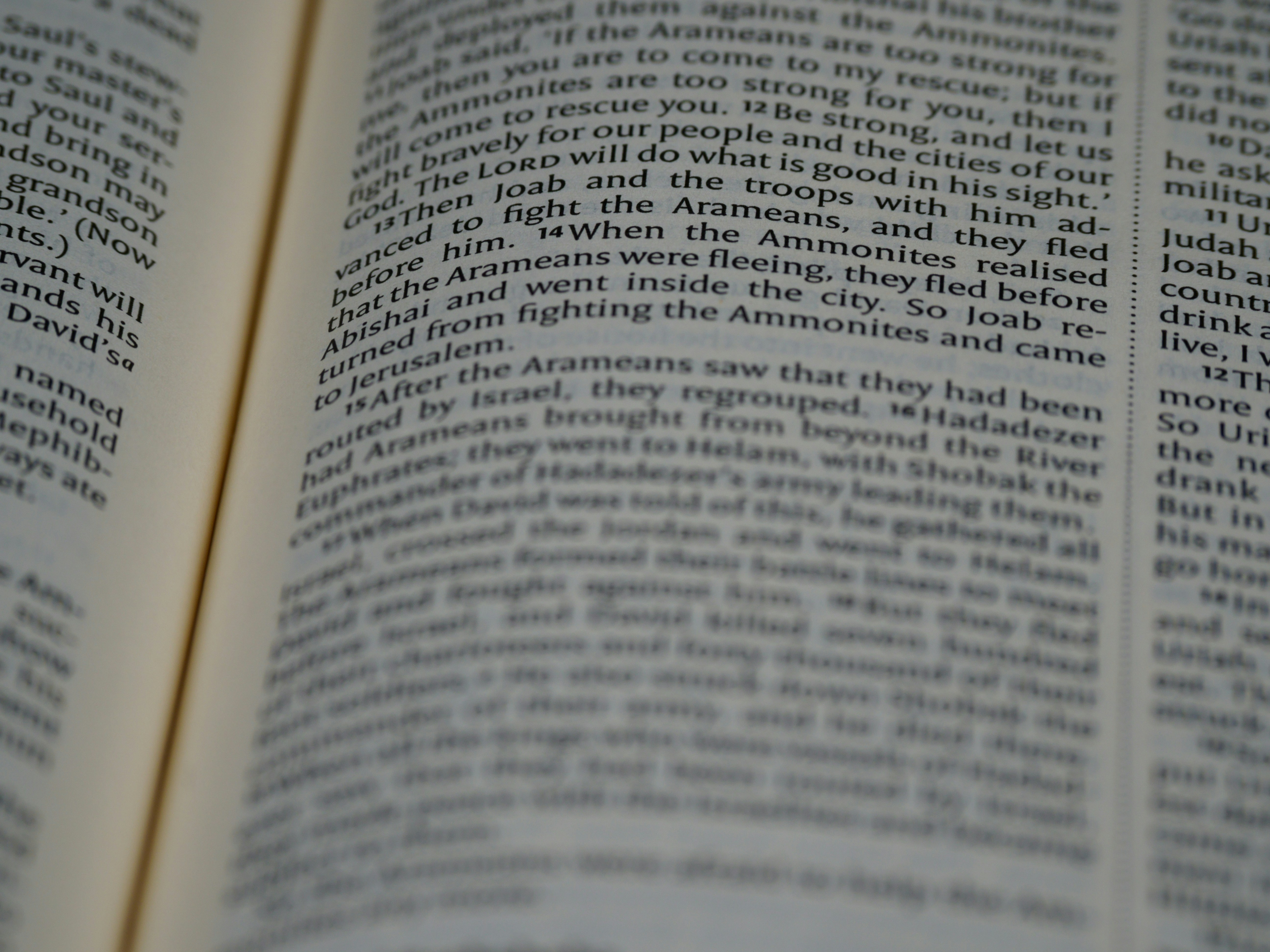 Photo by brett_jordan