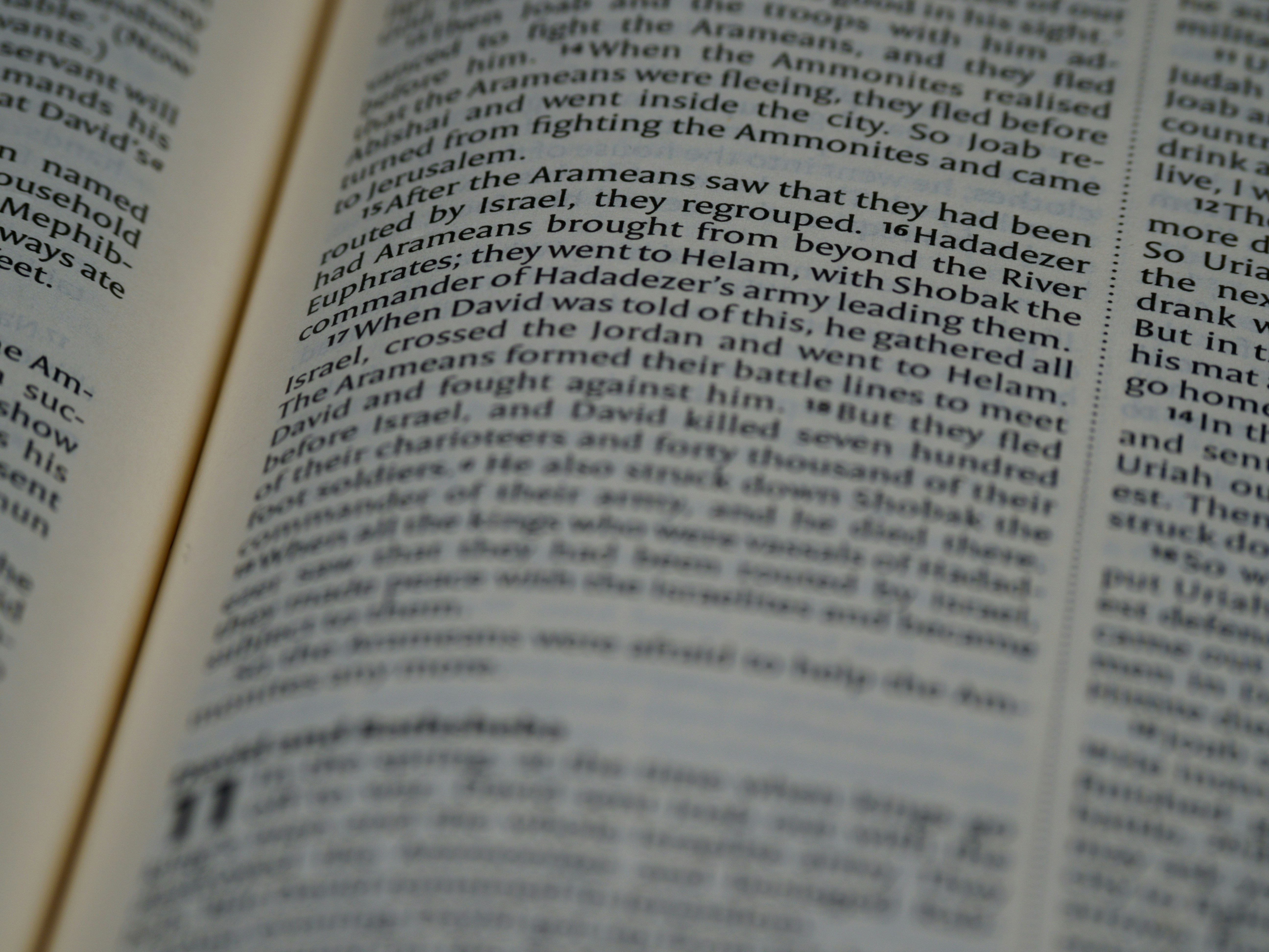 Photo by brett_jordan