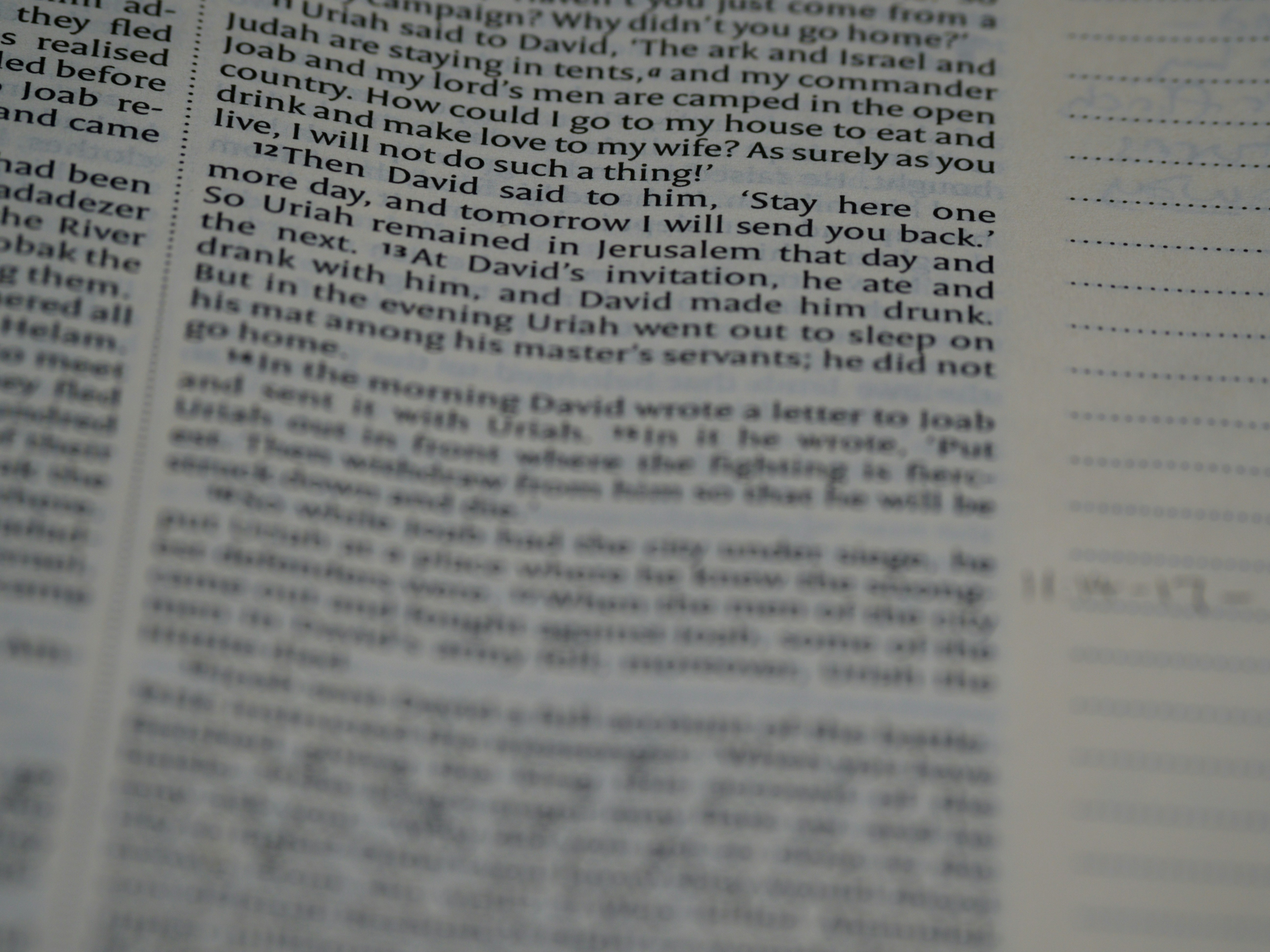 Photo by brett_jordan