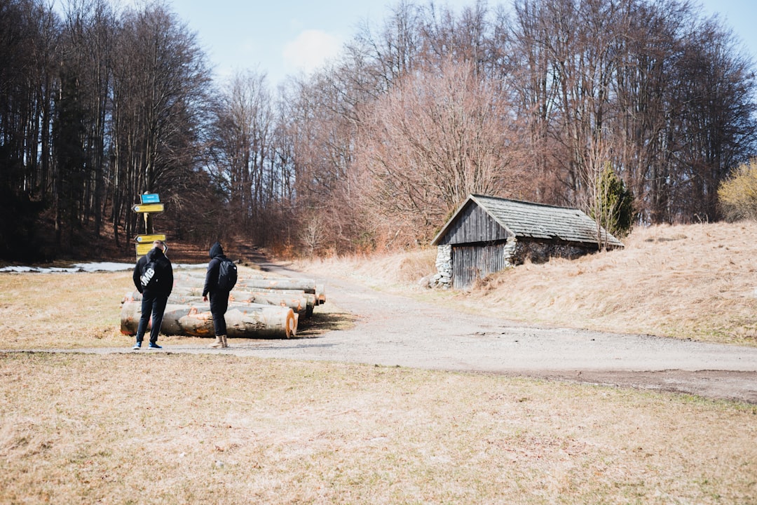 brown wooden house near bare trees during daytime