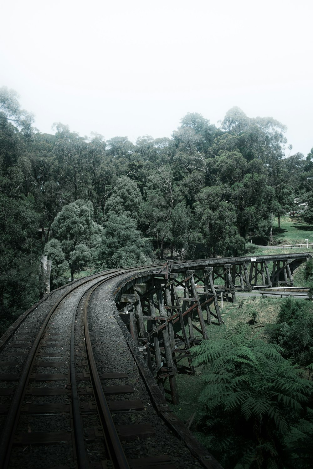 train rail near green trees during daytime