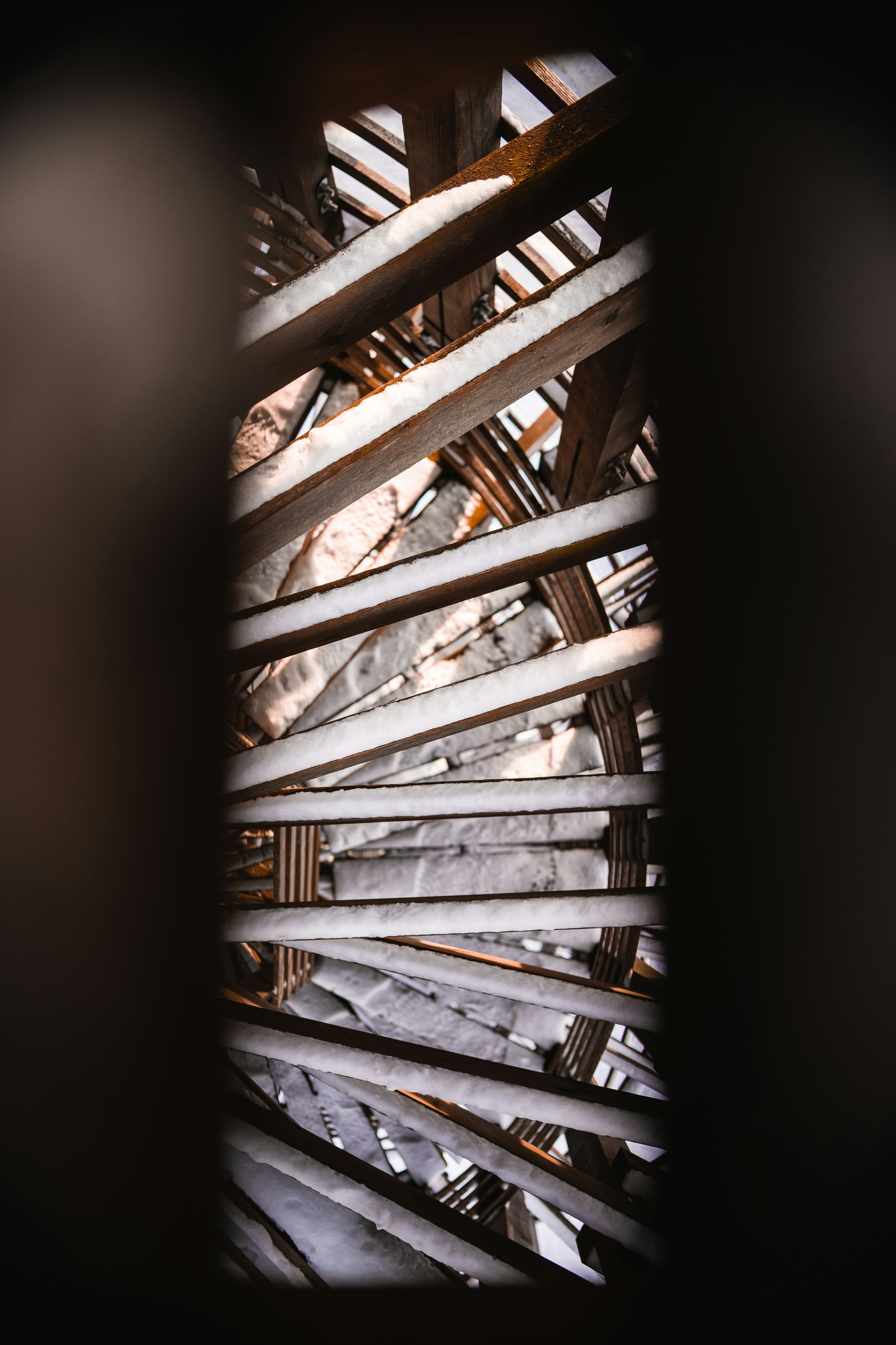 Photo by davidbenesph