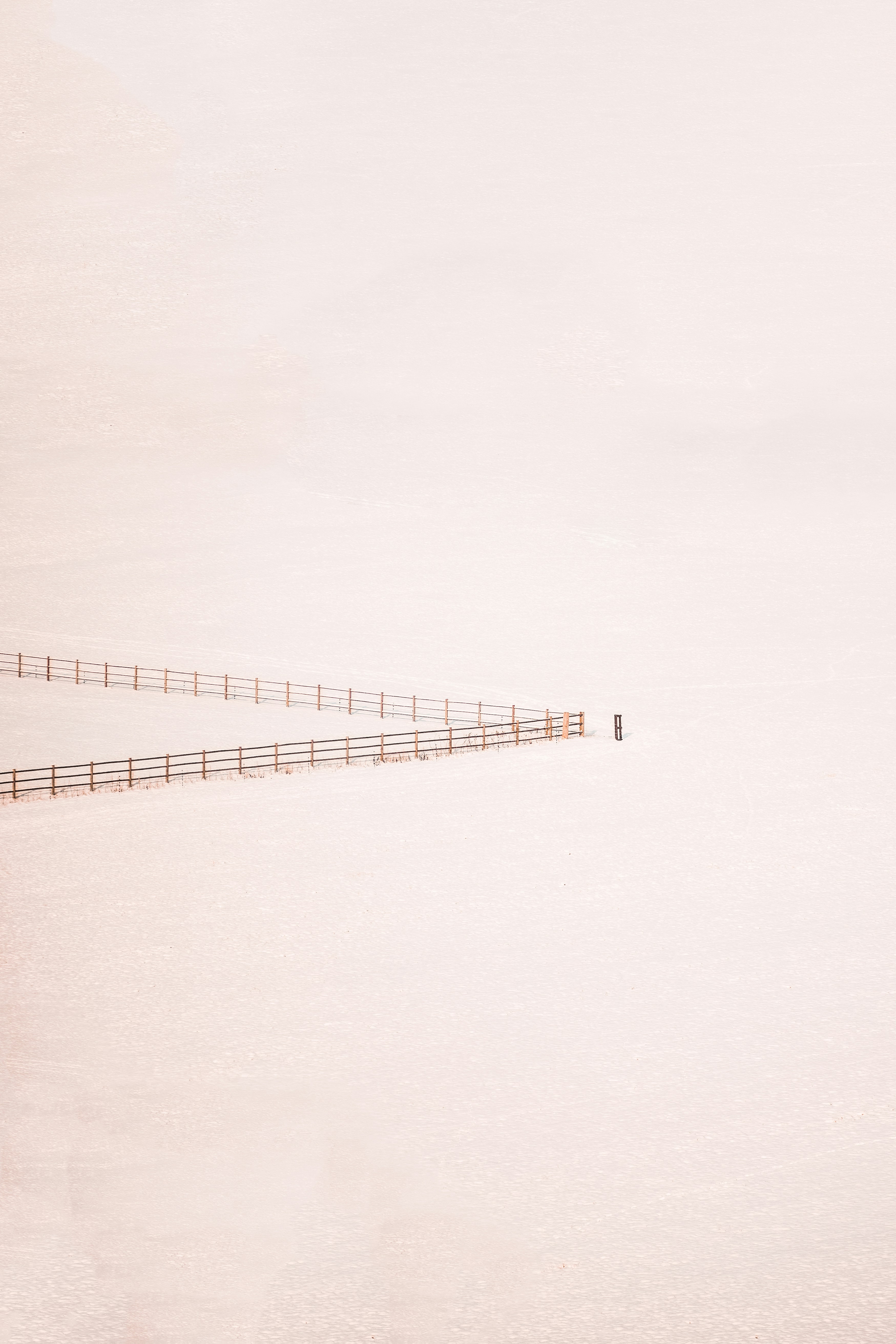 10 faits essentiels sur la solitude