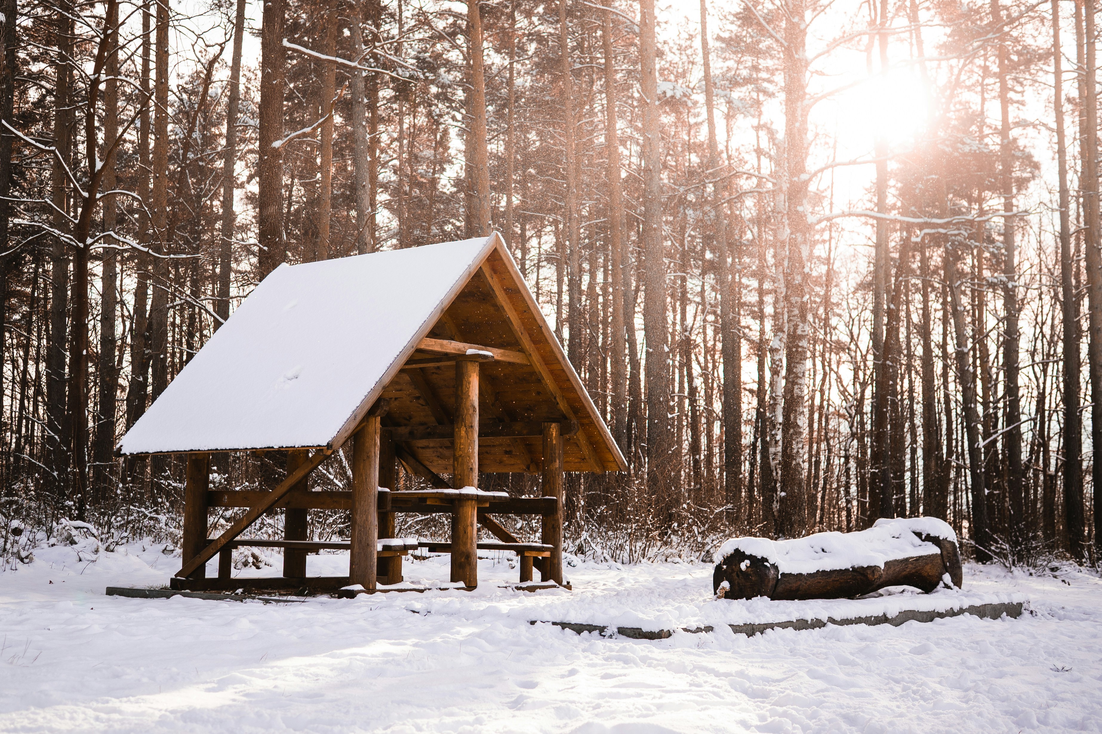 Photo by davidbenesph