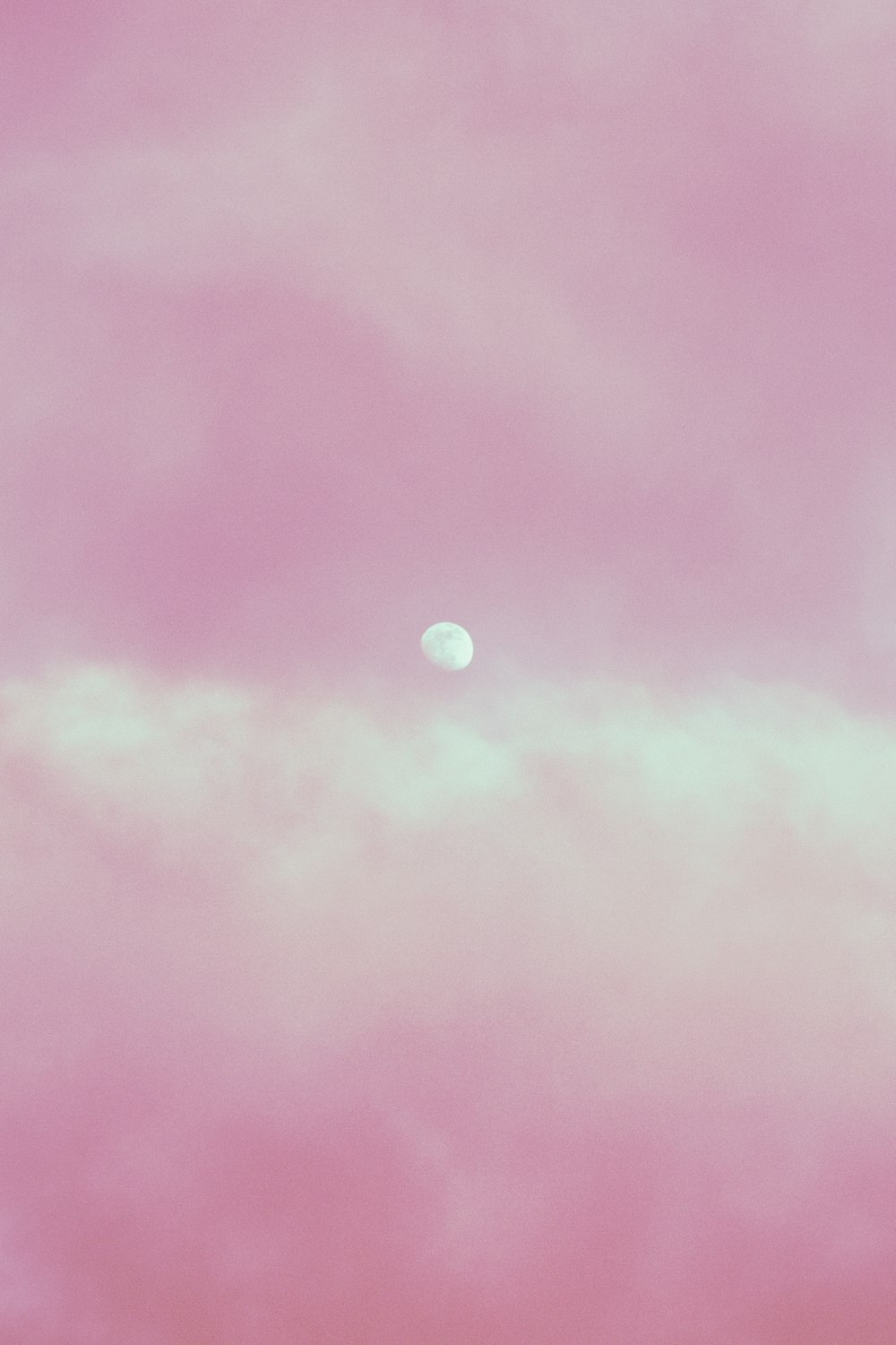 pink and blue sky with moon