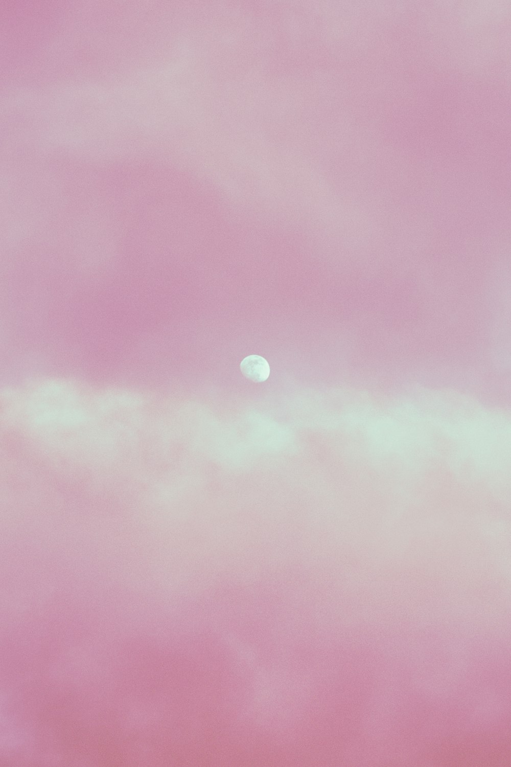 달이 있는 분홍색과 푸른 하늘