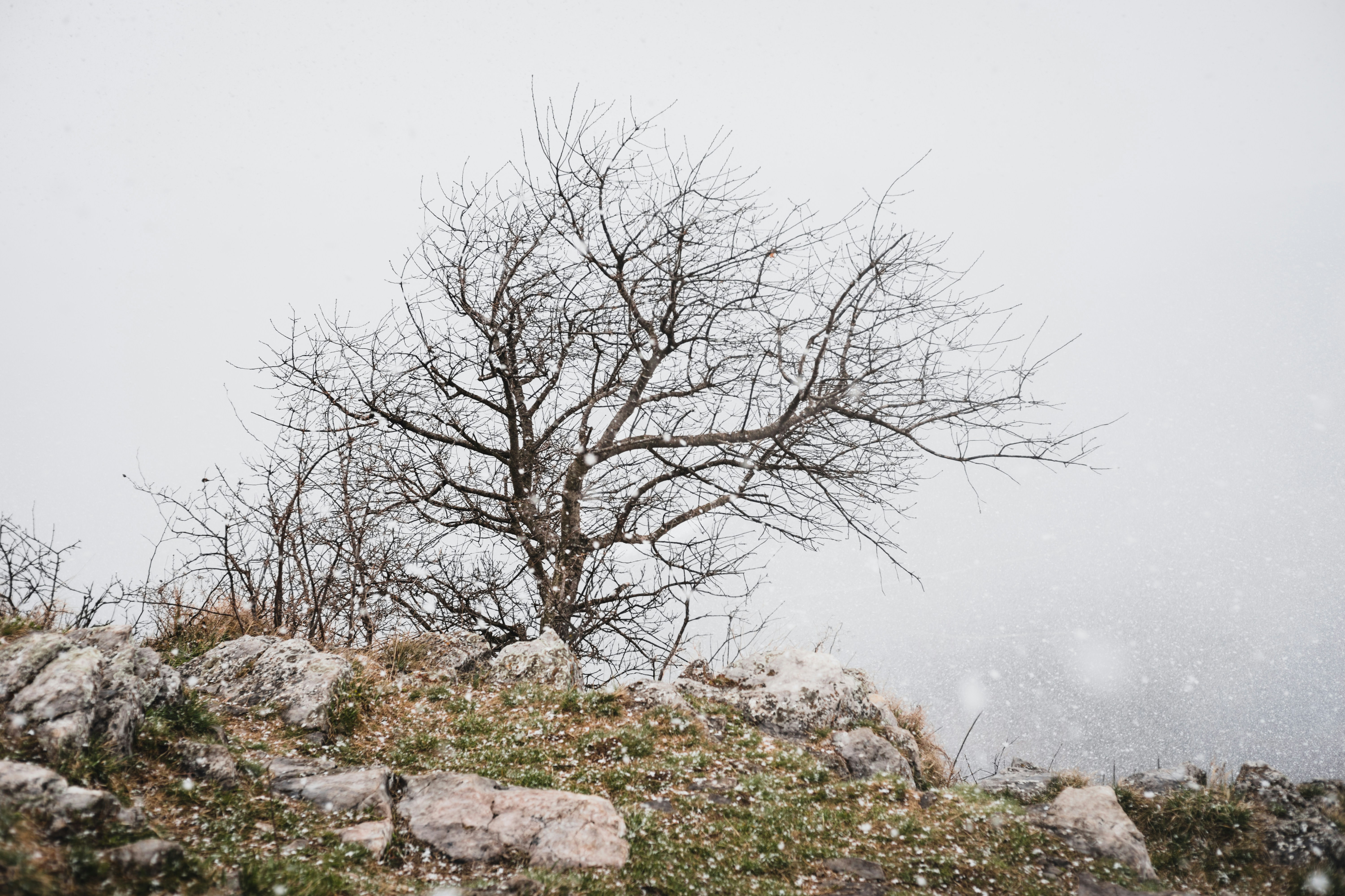 Photo by buduczki