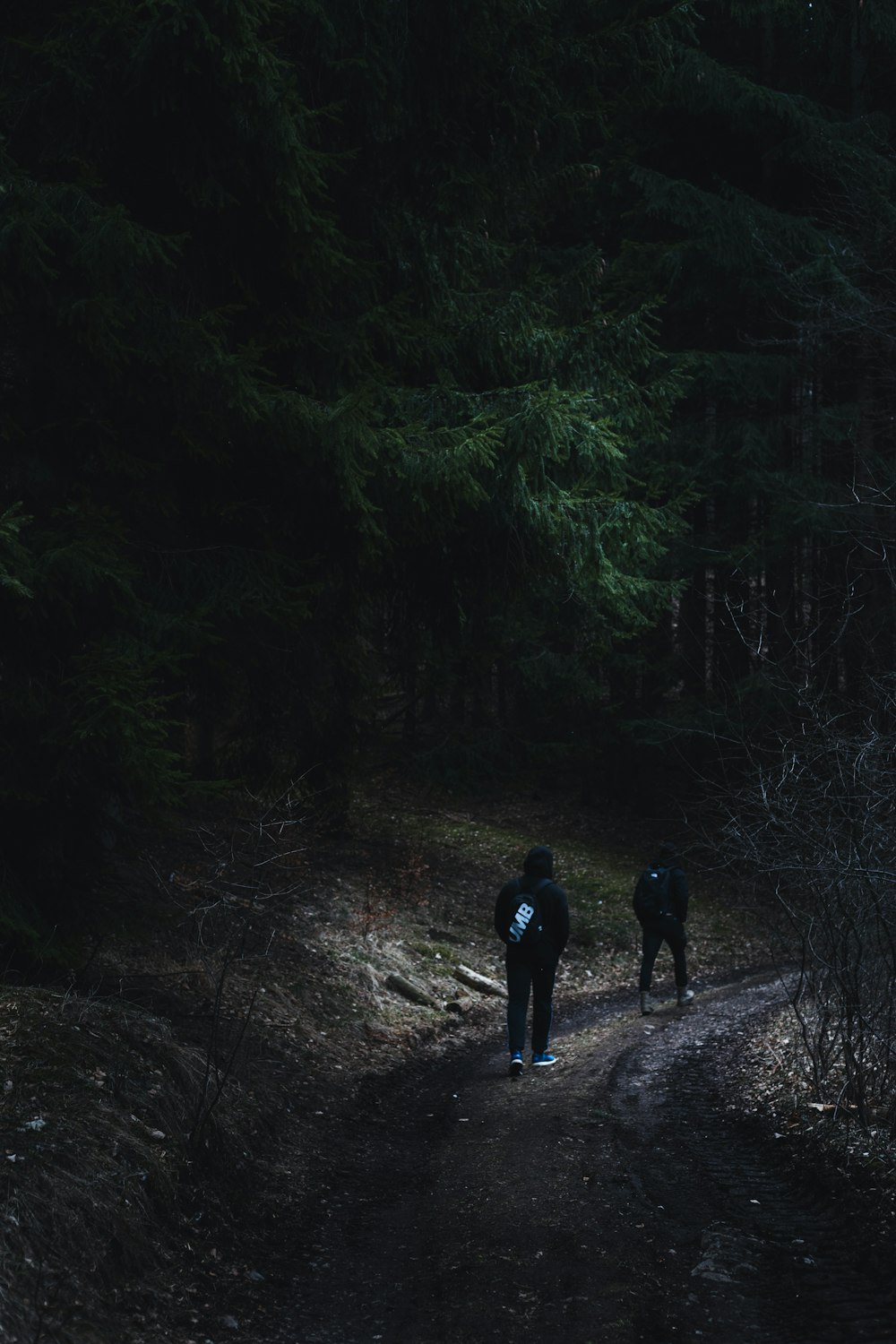 man in black jacket walking on forest during daytime