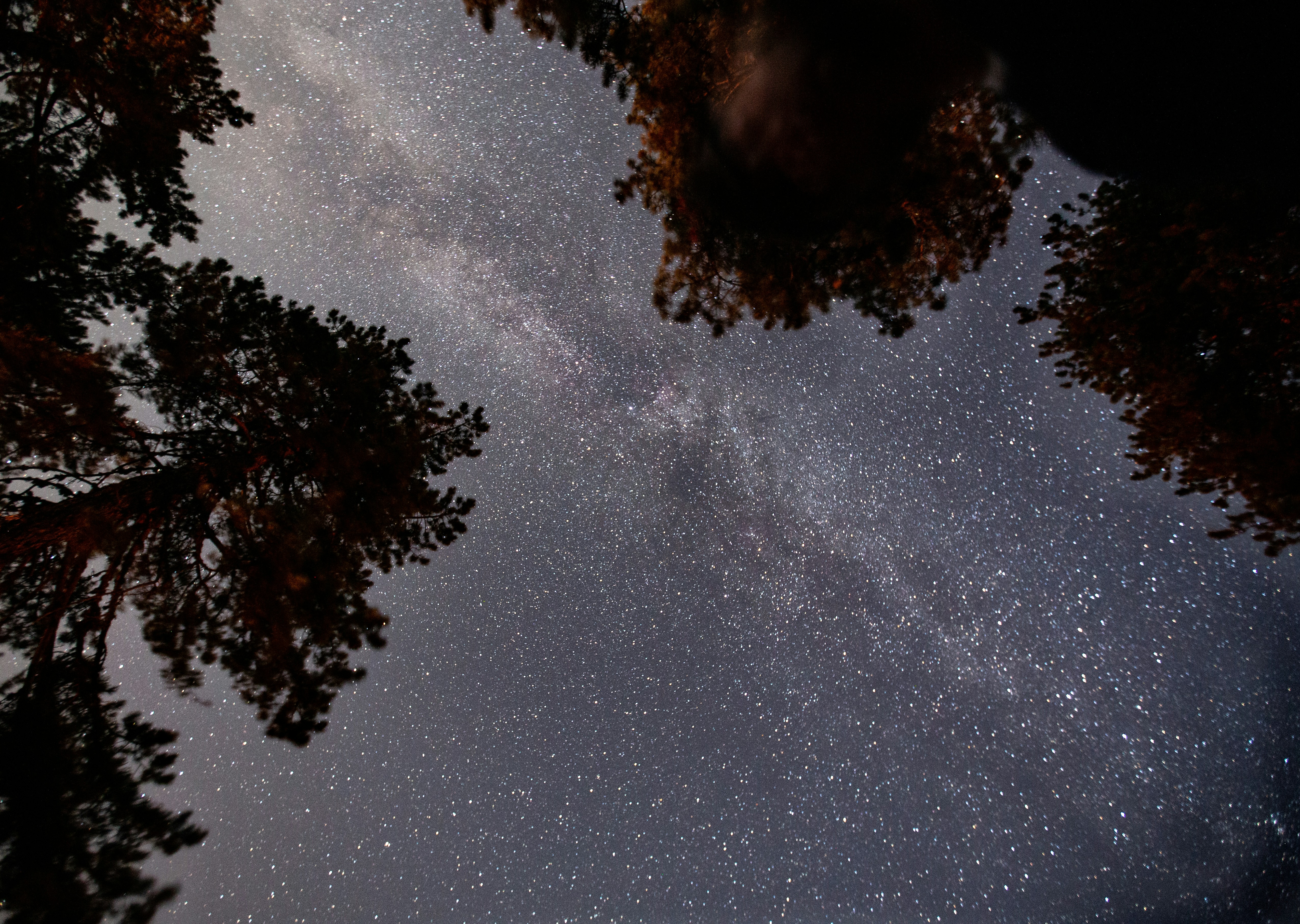 Photo by unsaloroglu