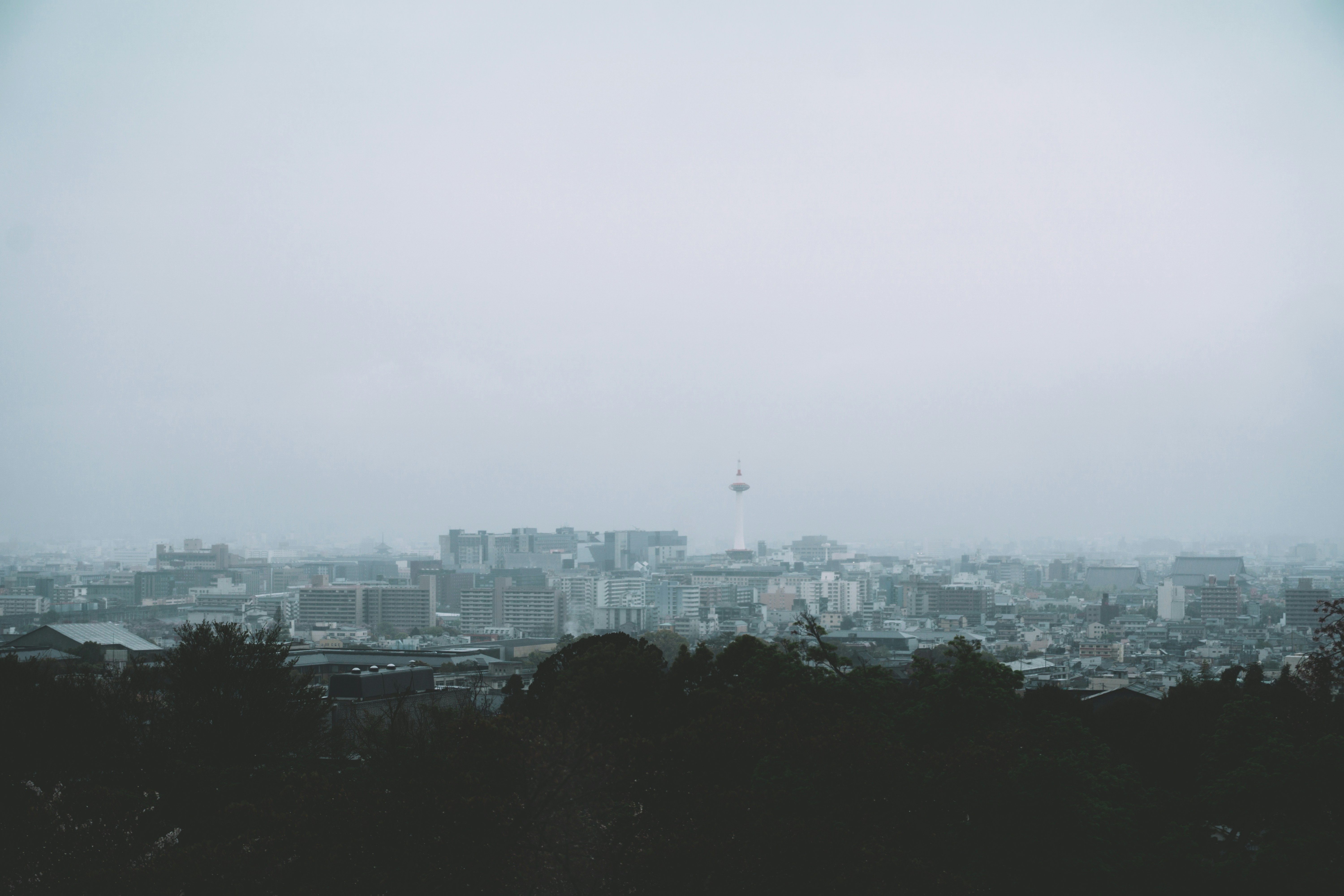 Photo by cosmonaut647