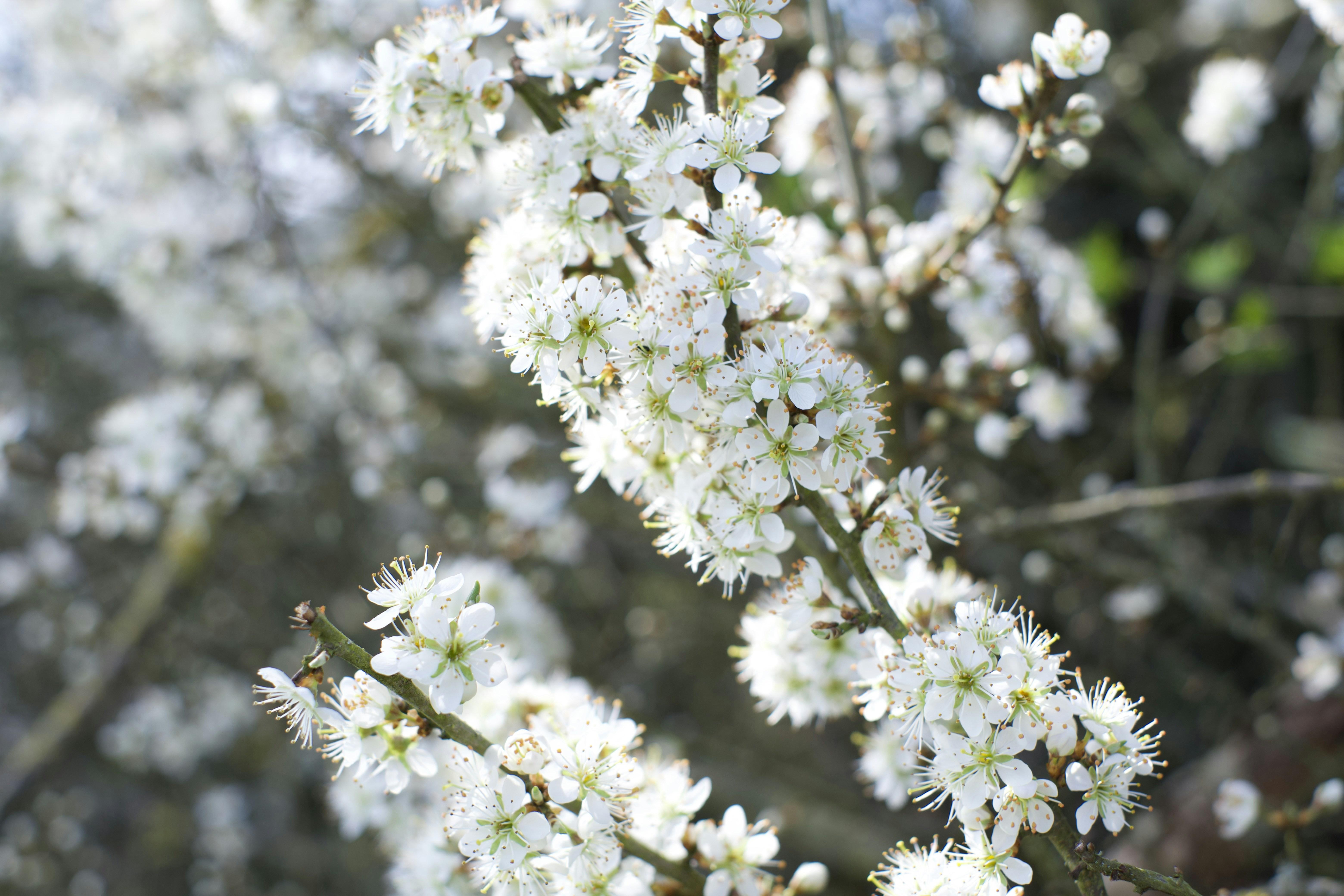 Photo by sharp_shutter