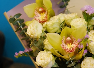 yellow roses bouquet on purple surface