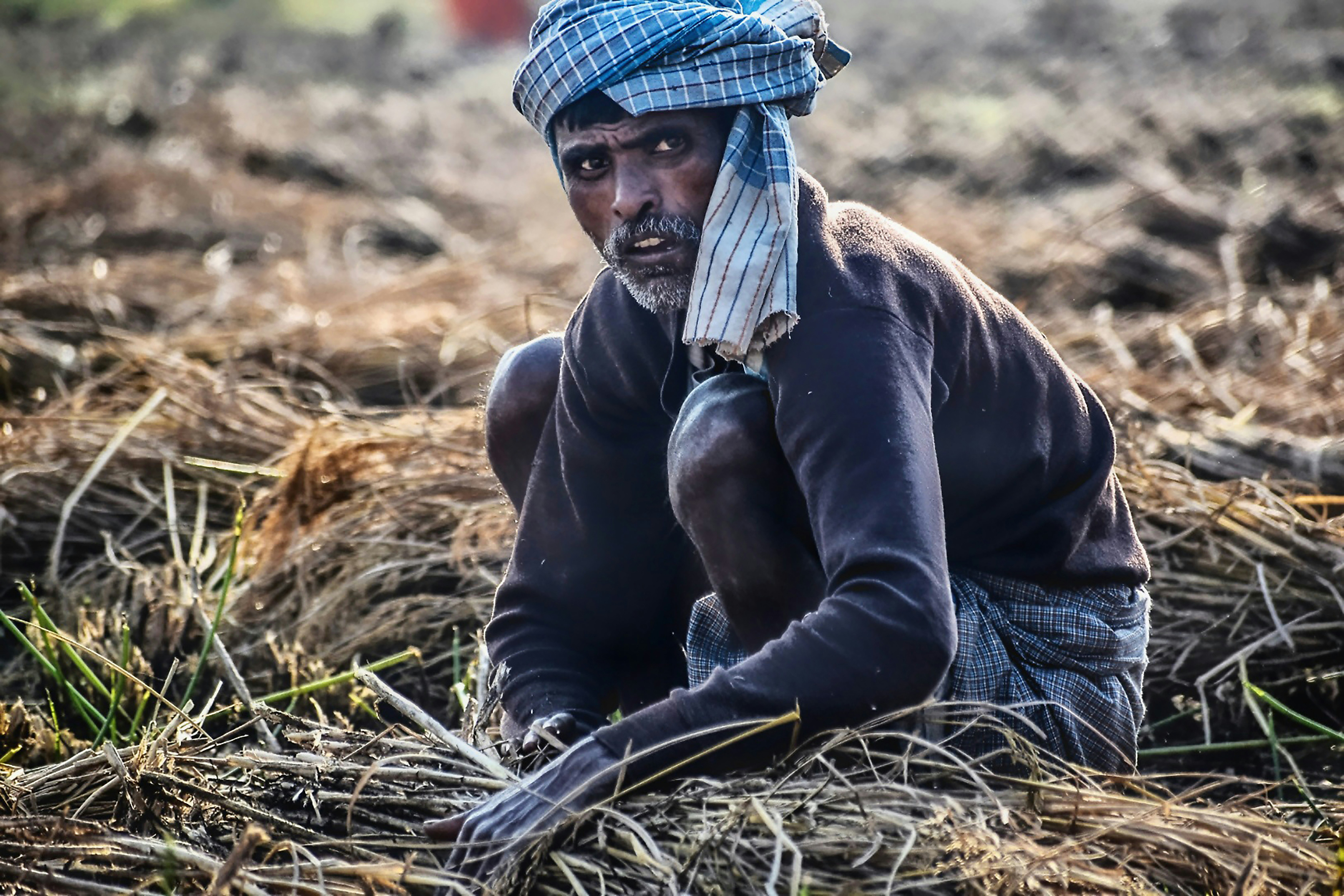 Photo by vichitrapraniie