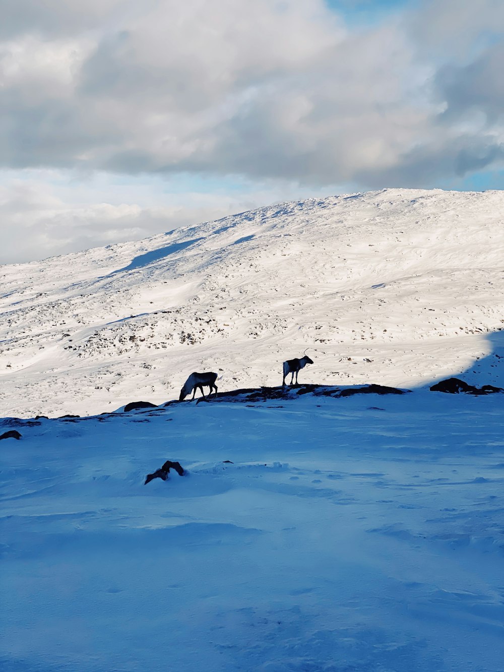 people on snow covered mountain during daytime