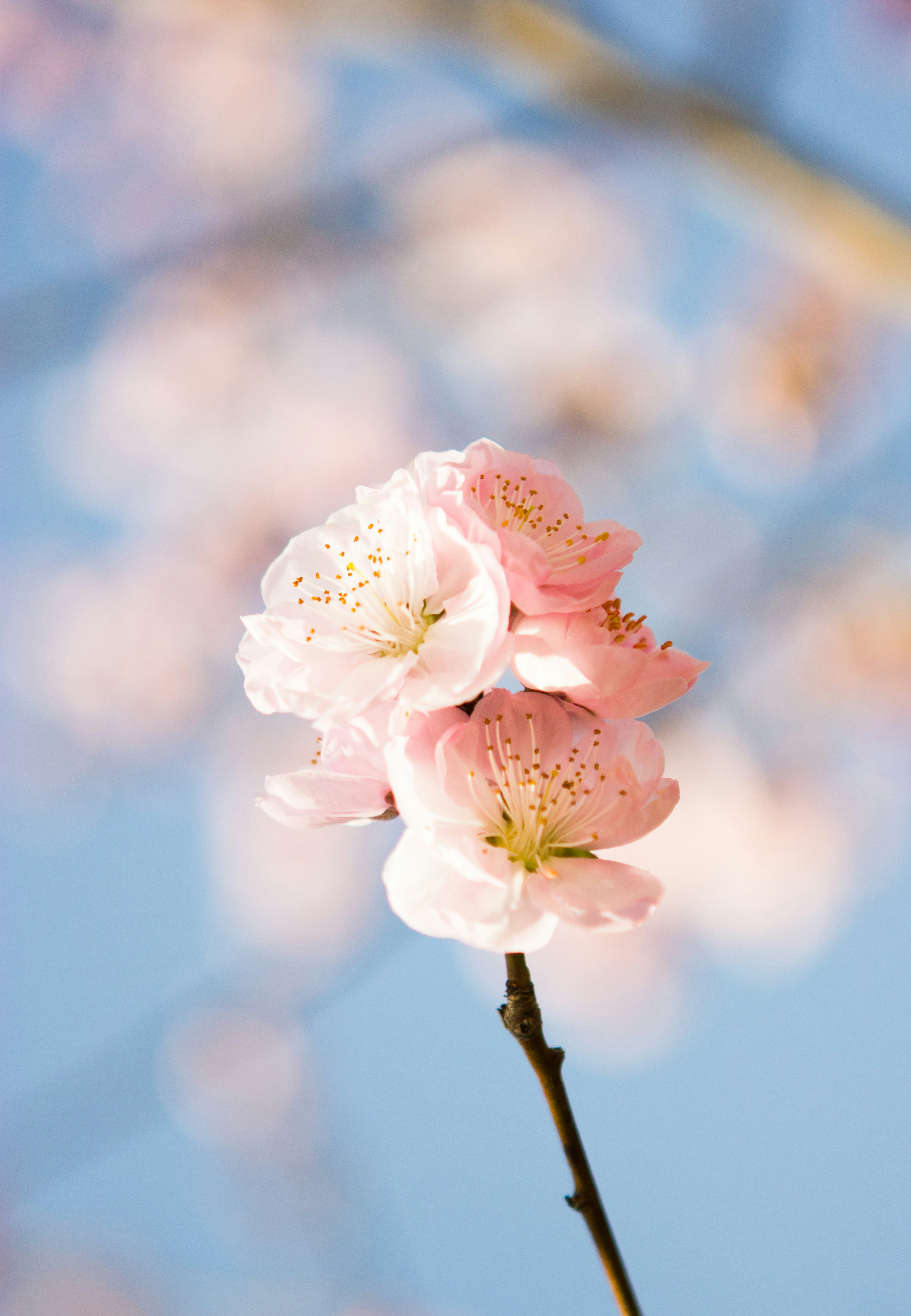 Photo by mr_literary_cat