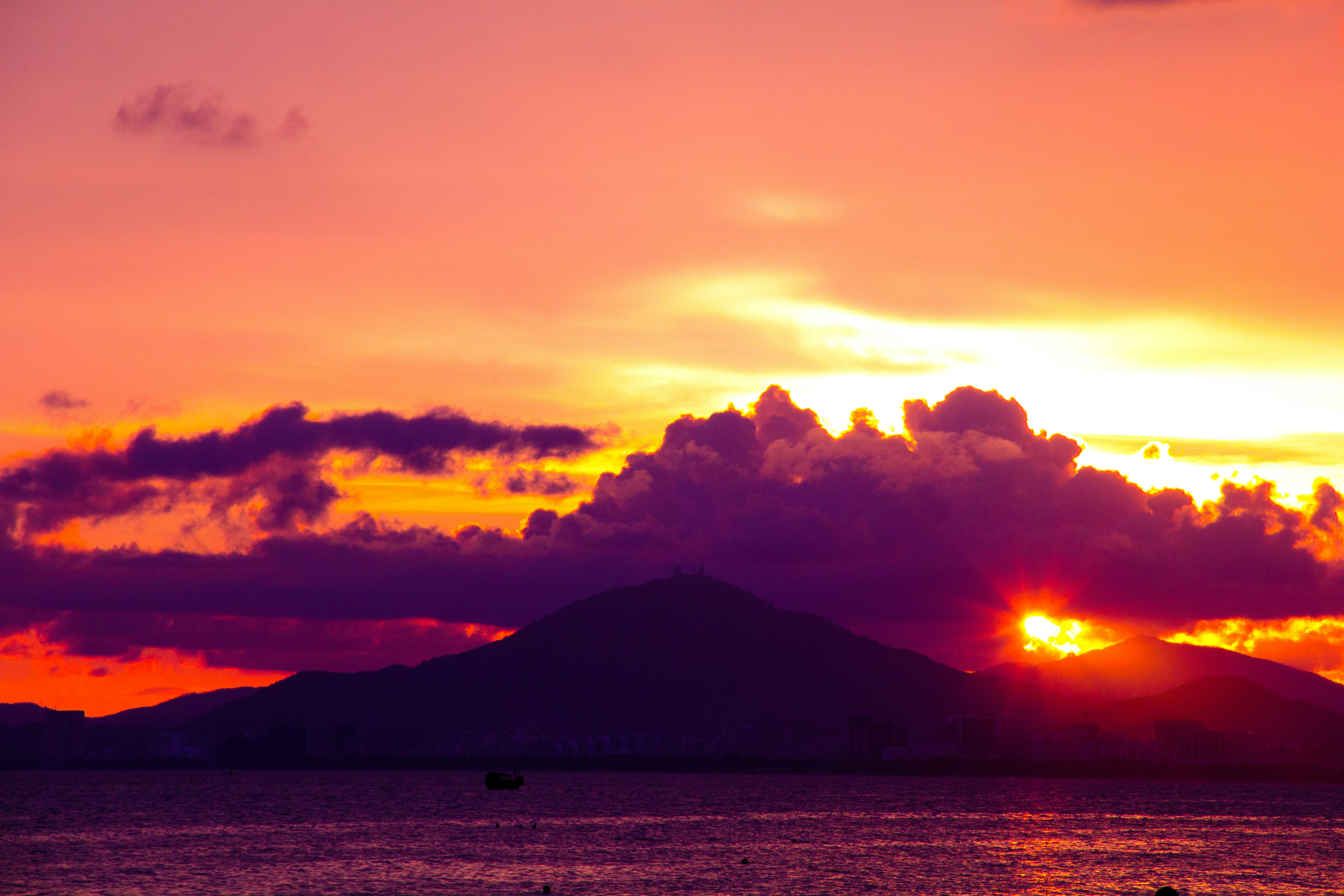 Photo by mr_literary_cat