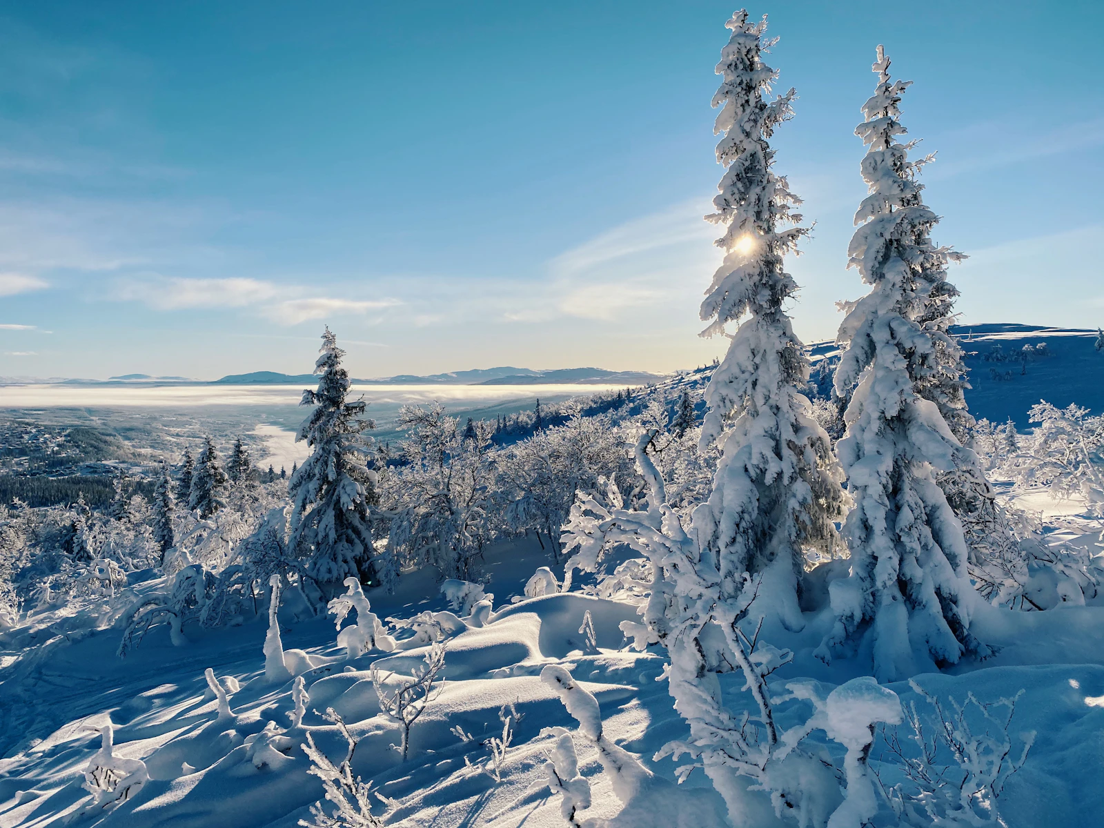 A skier on a snowy Scandinavian mountain