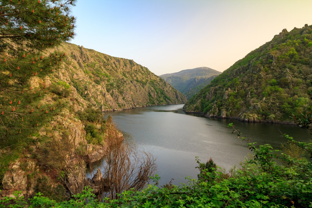 Exploring Ribeira Sacra A River Cruise Through Spain's Vertical Vin… — Exploring Ribeira Sacra A …, photo 2