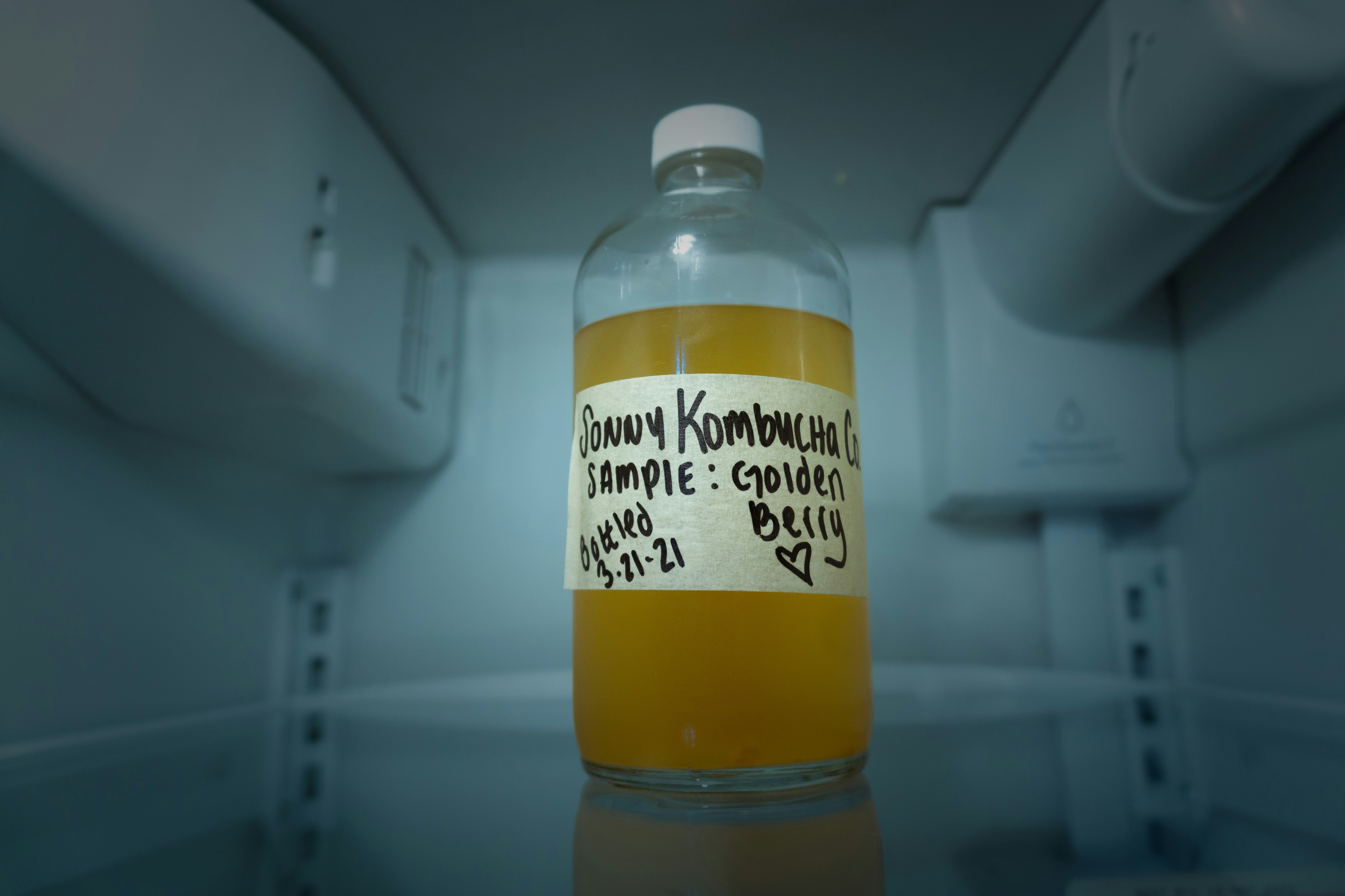 A botted sample of kombucha in a fridge. 