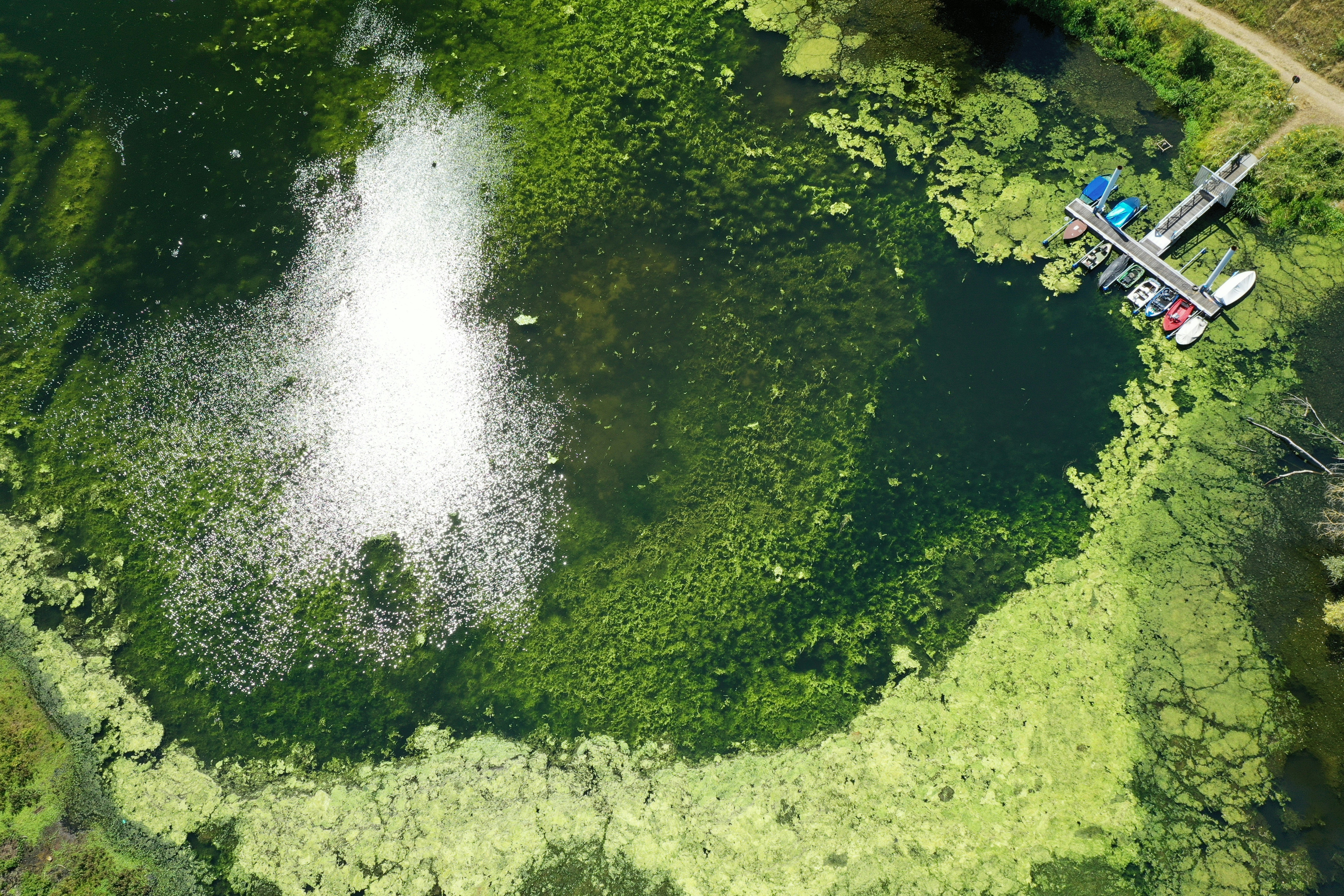 Photo by desirechristine