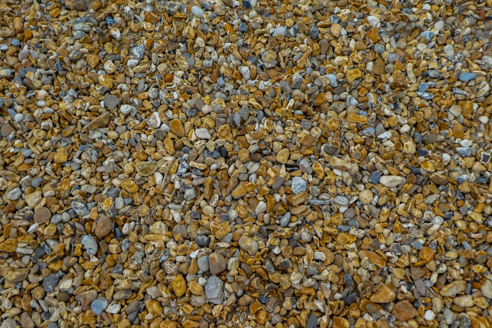 brown and white stones on ground