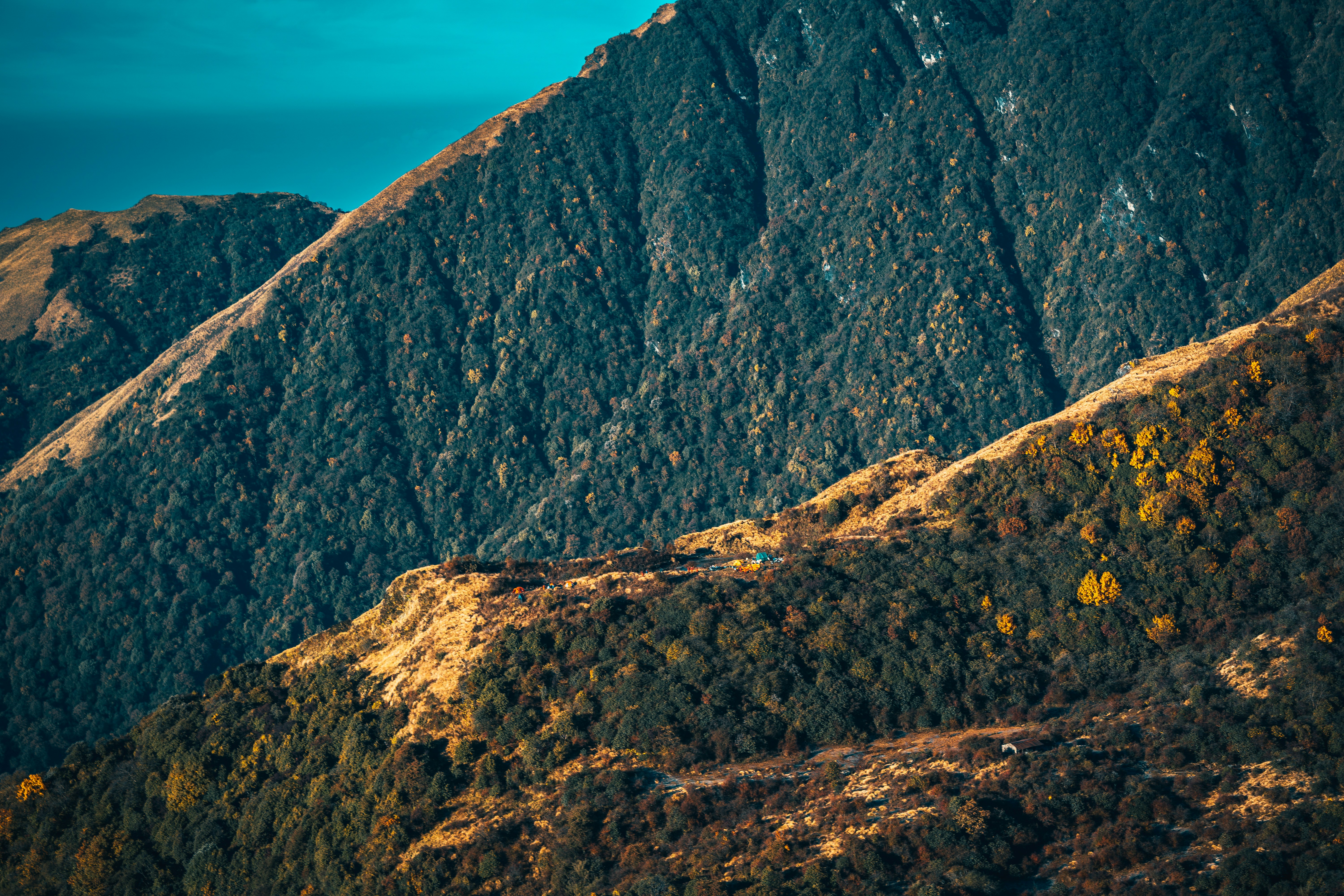 Photo by raimondklavins